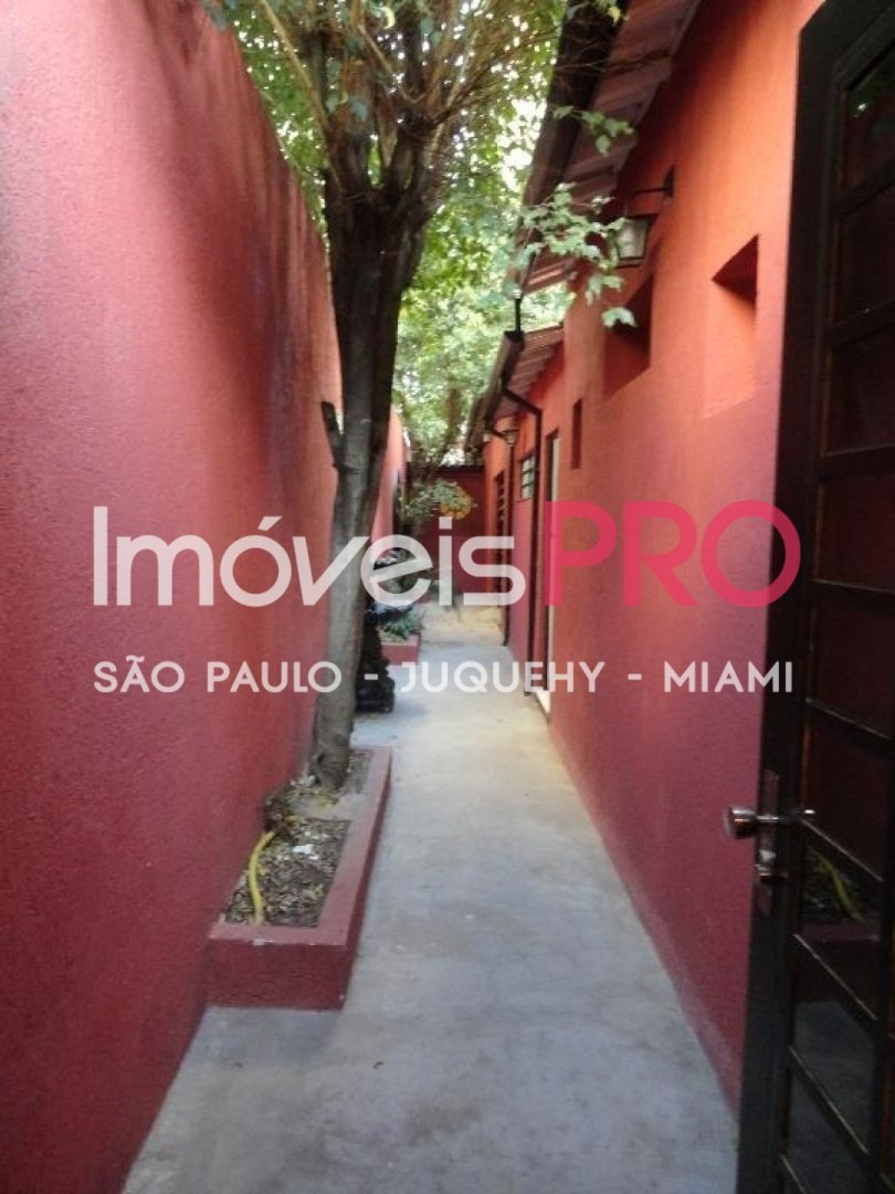 Foto :: IP26414