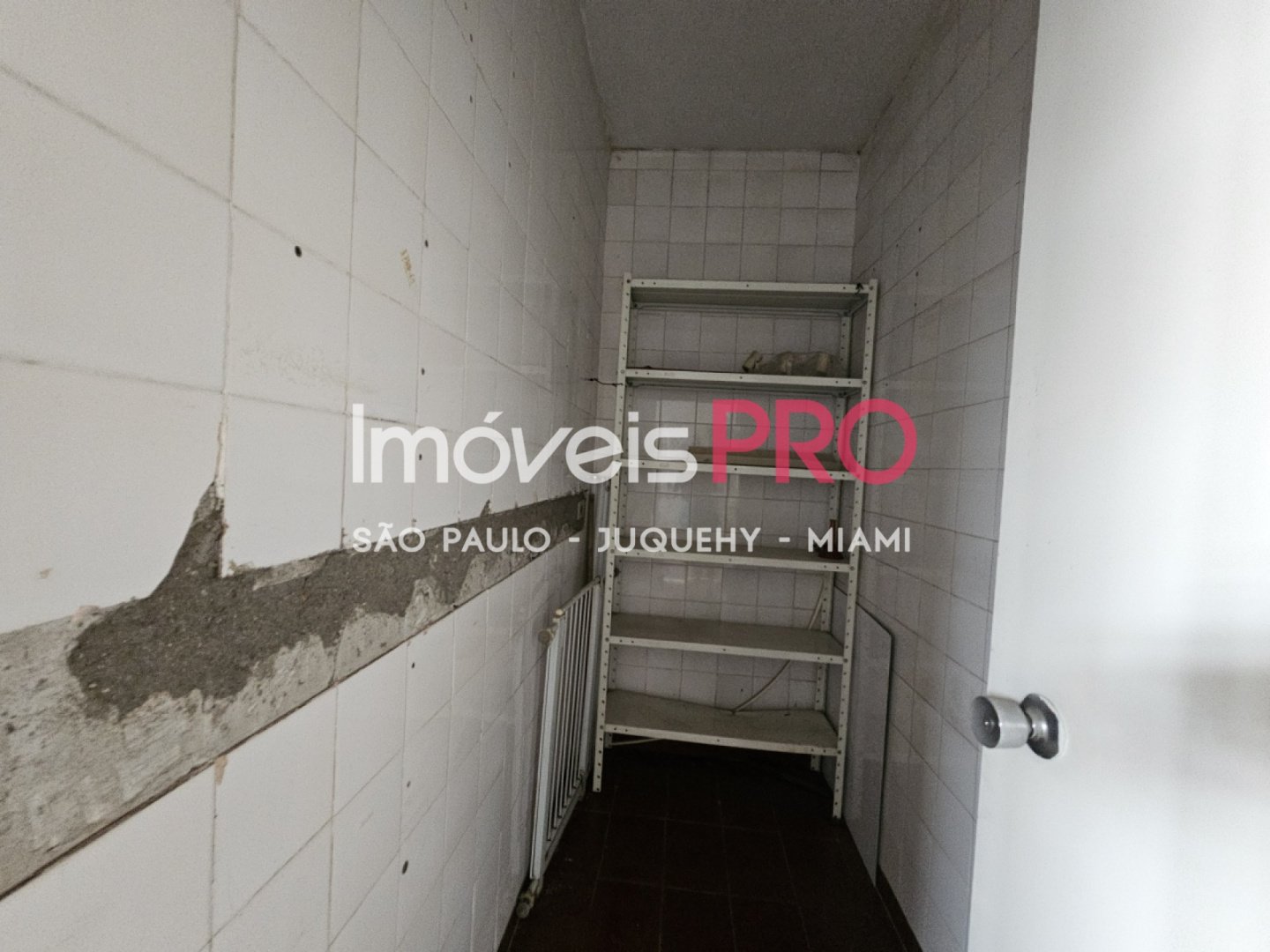 Foto :: IP26427