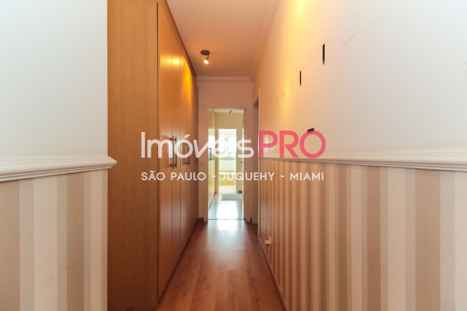 Foto :: IP26474