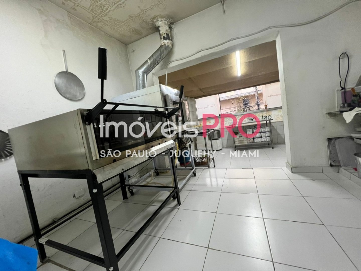 Foto :: IP29348