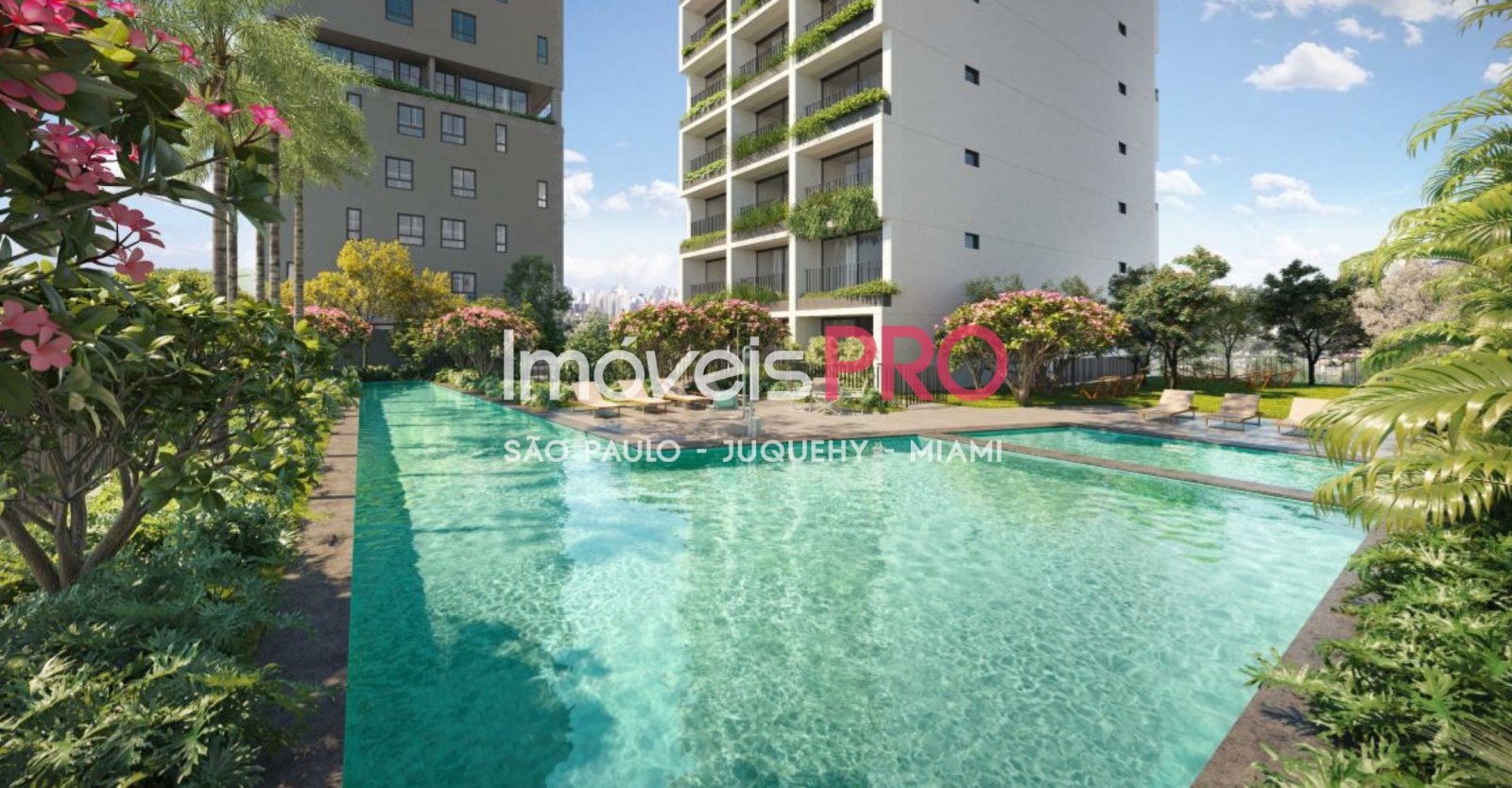 Foto :: IP29623
