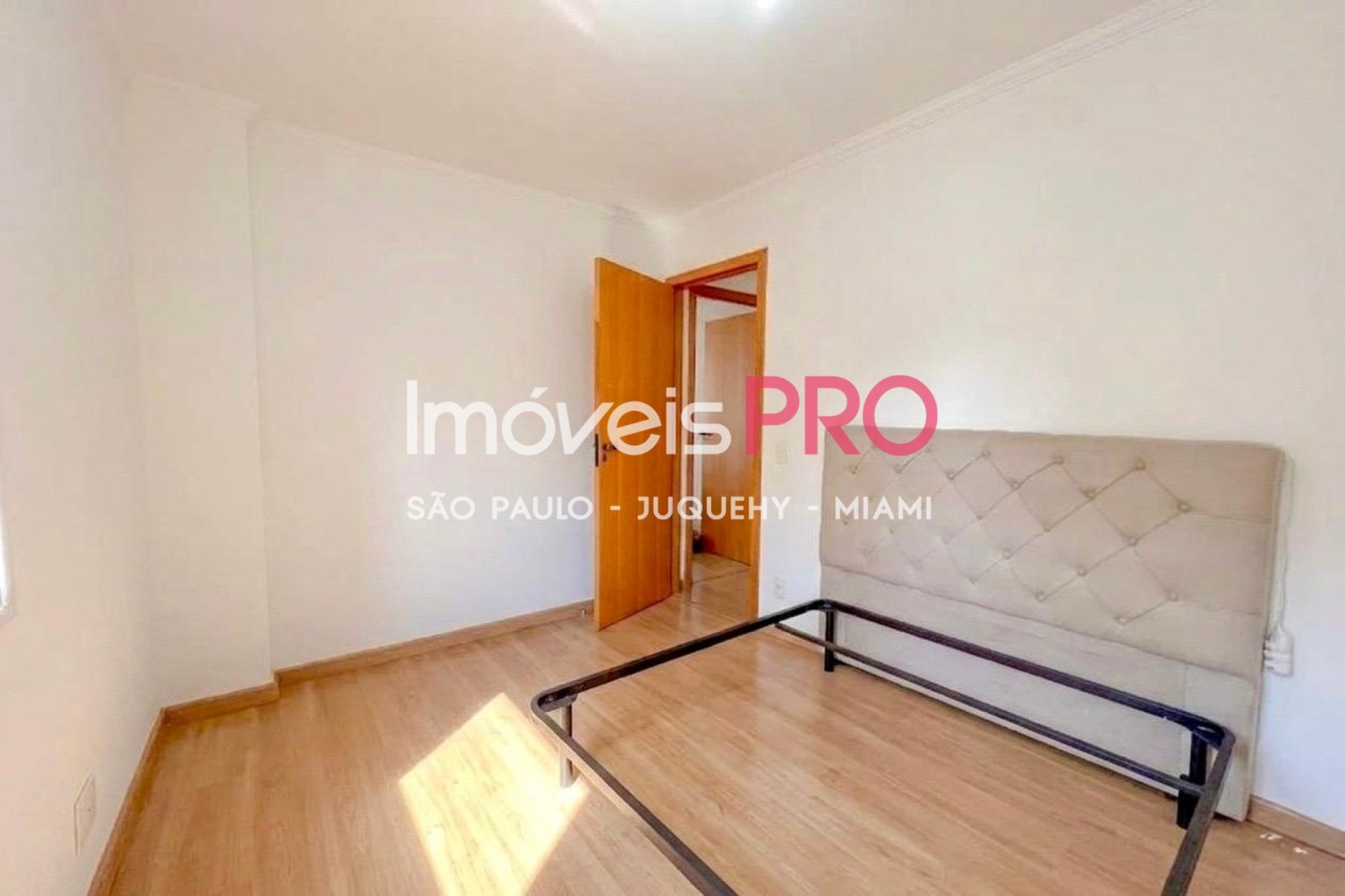 Foto :: IP29723