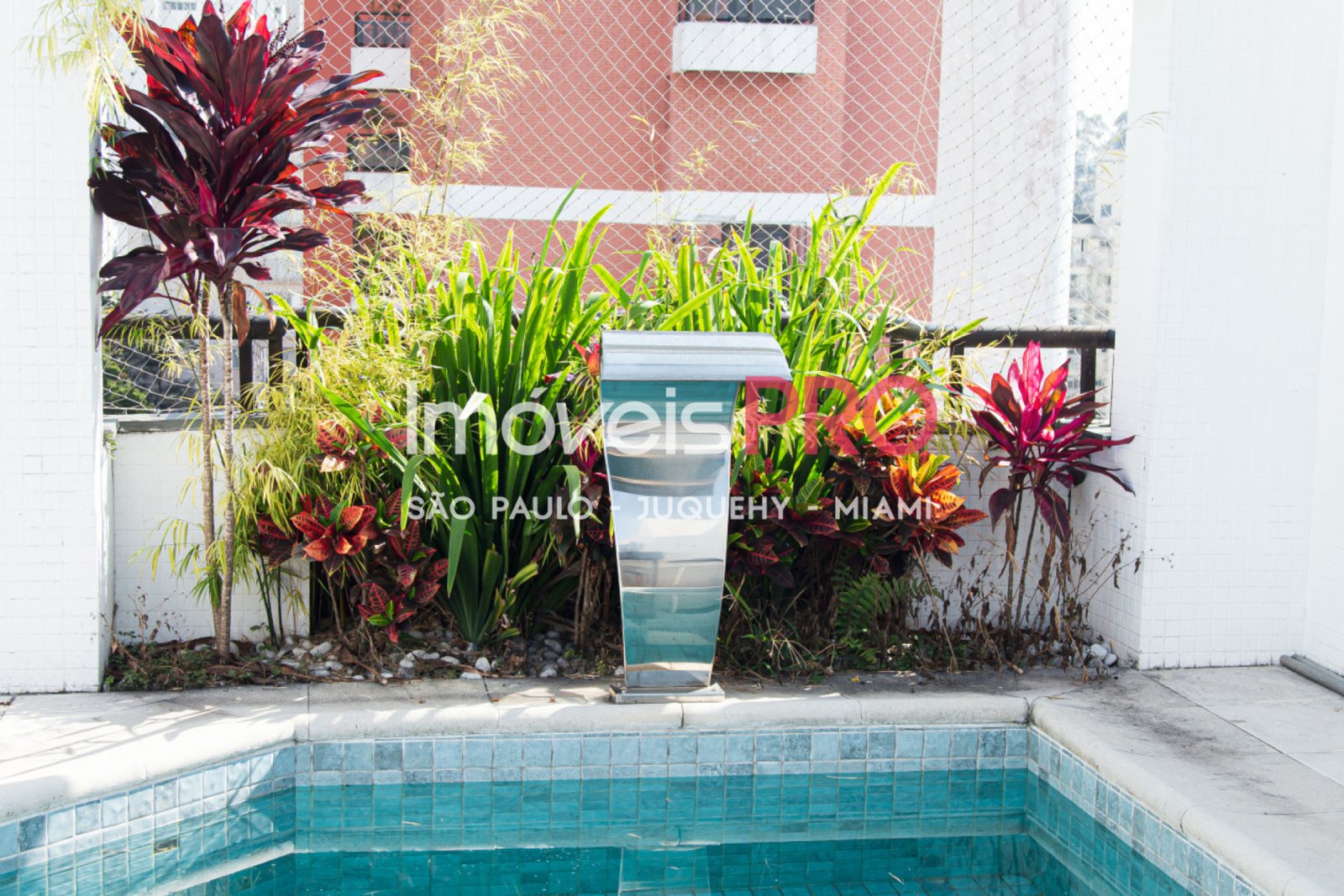 Foto :: IP29872