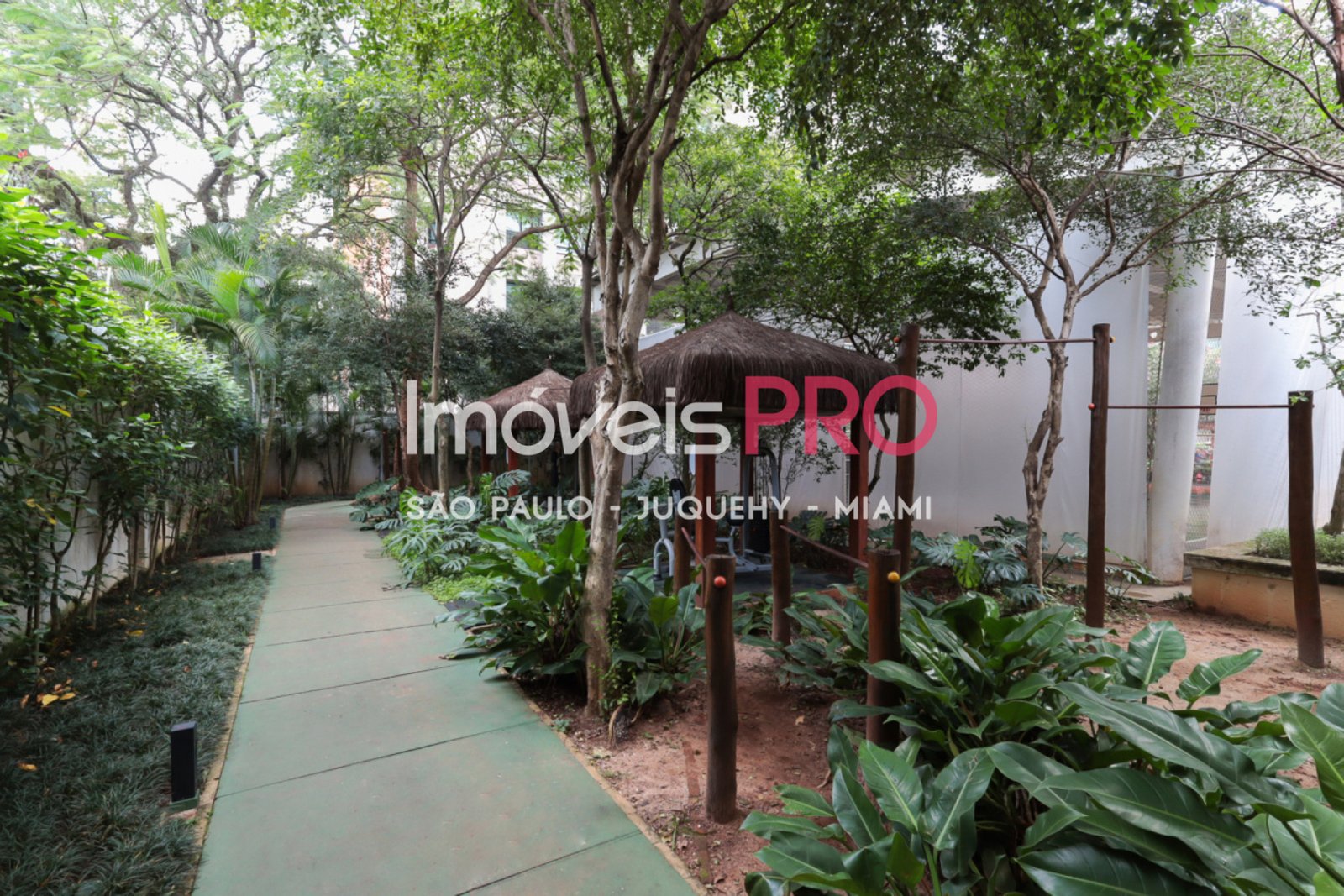 Foto :: IP30283