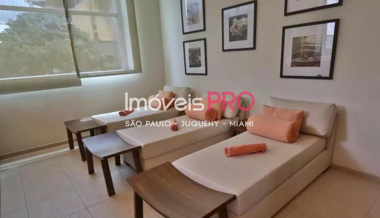 Foto :: IP30838