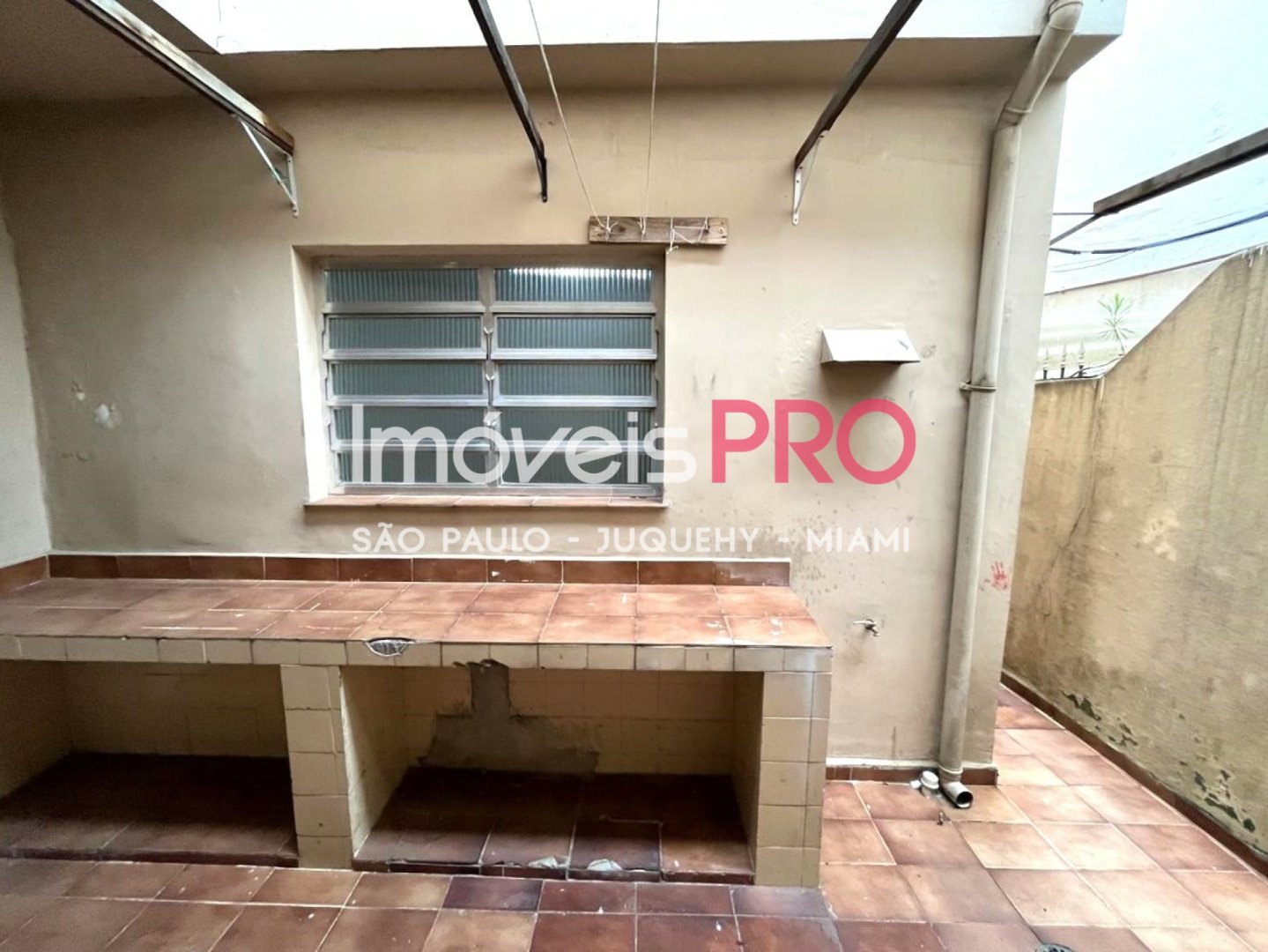 Foto :: IP31077