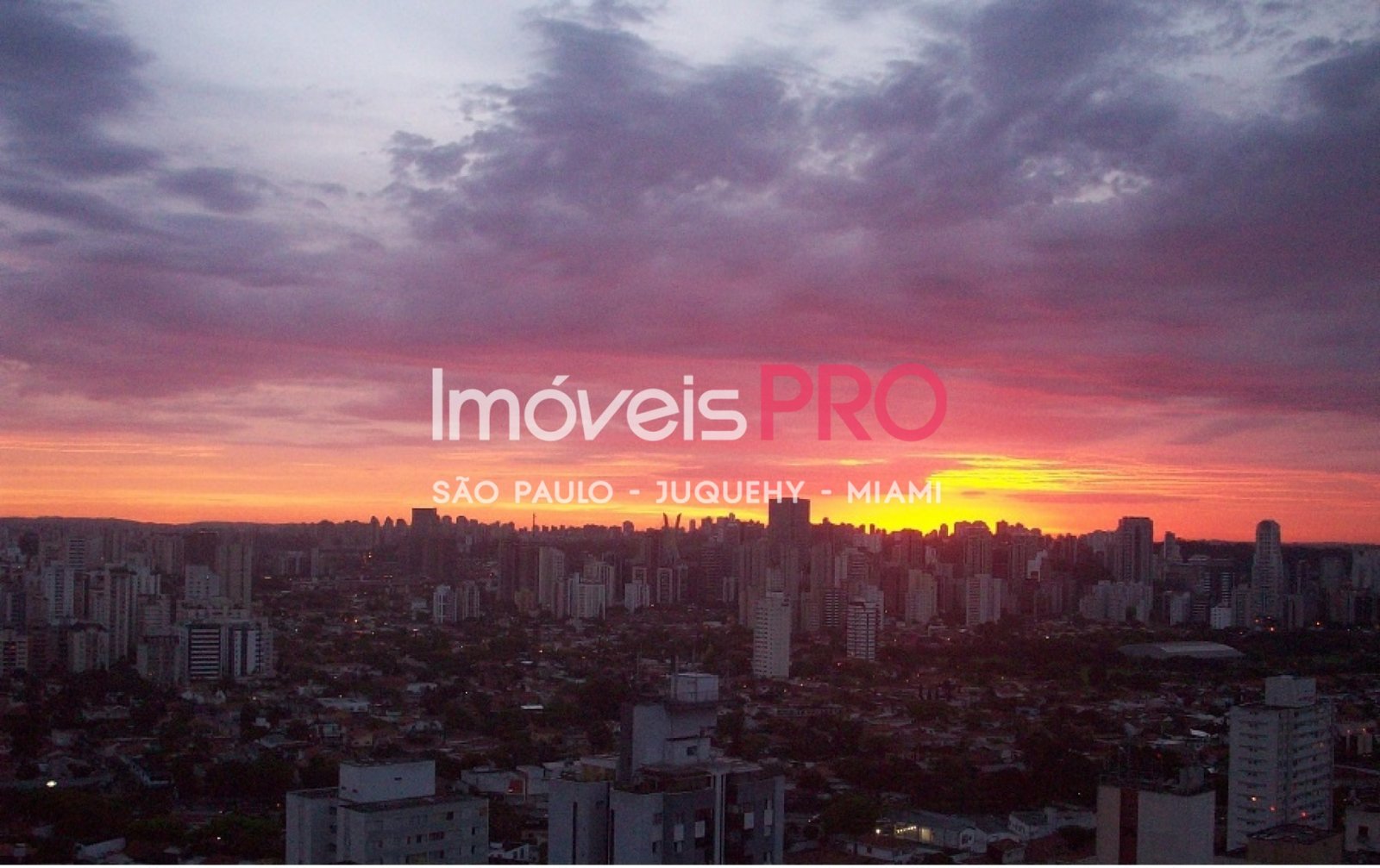 Foto :: IP31536