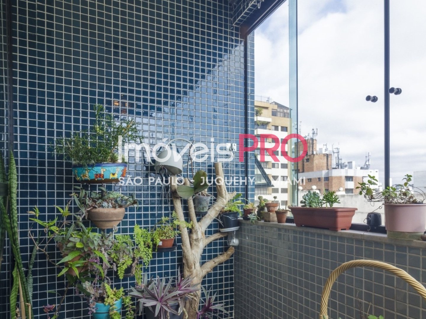 Apartamento para Vender, Moema Pássaros | Cód: IP31941 — foto 7