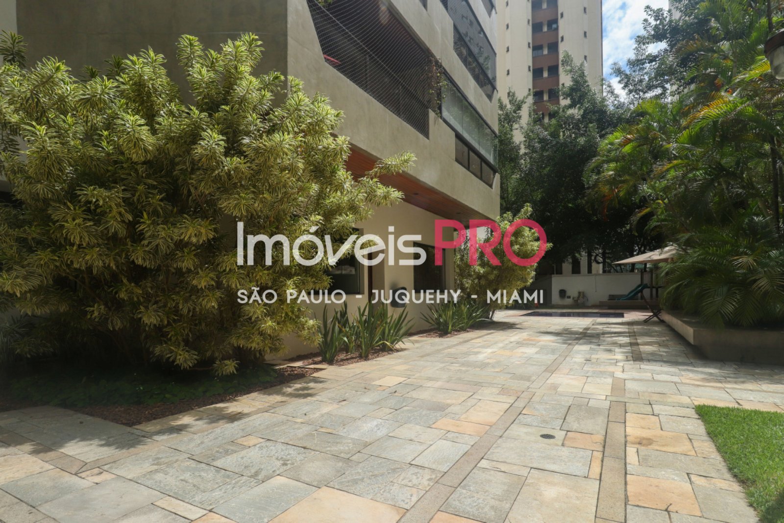 Foto :: IP32197
