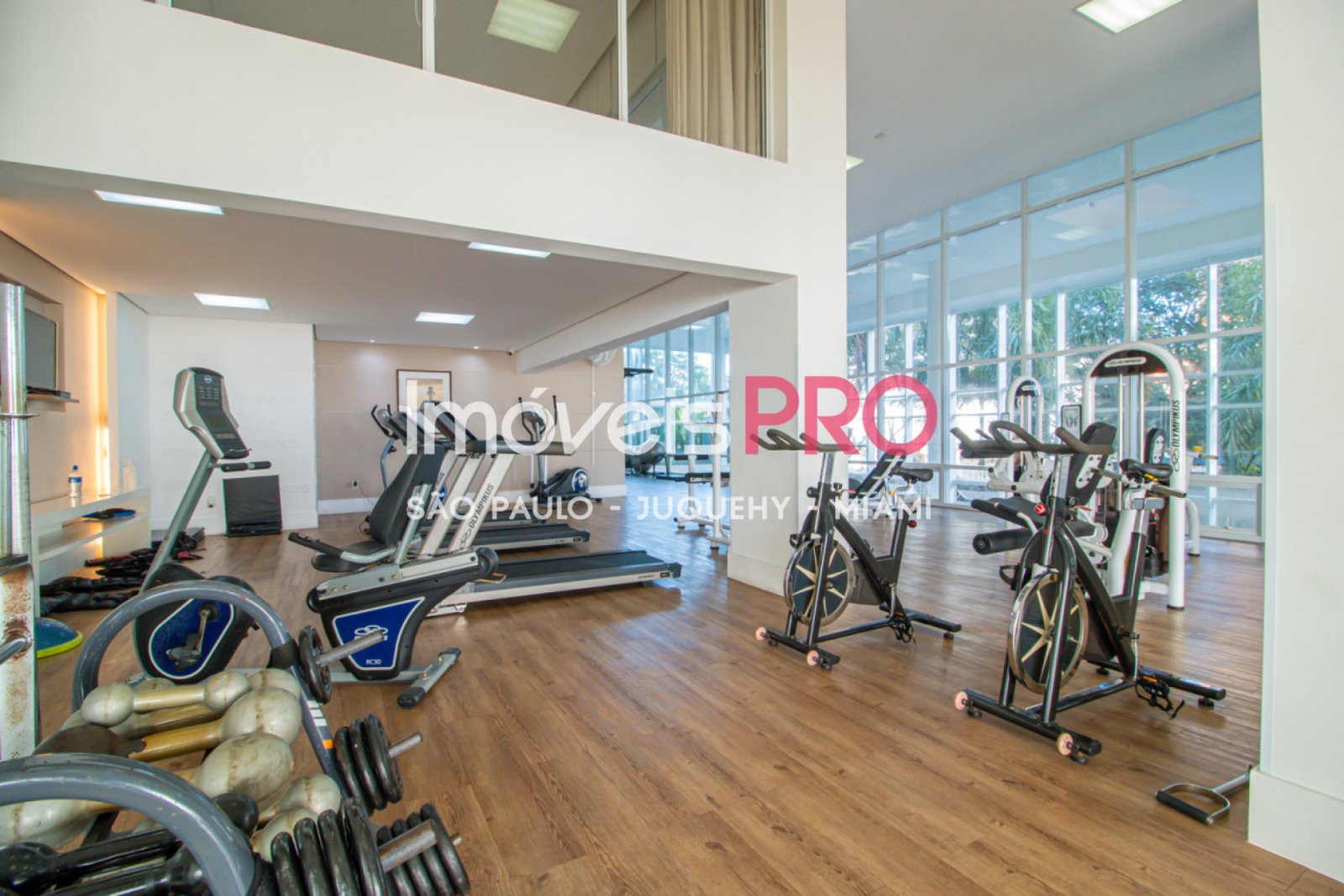 Apartamento para Alugar, Jardim Vila Mariana | Cód: IP33301 — 