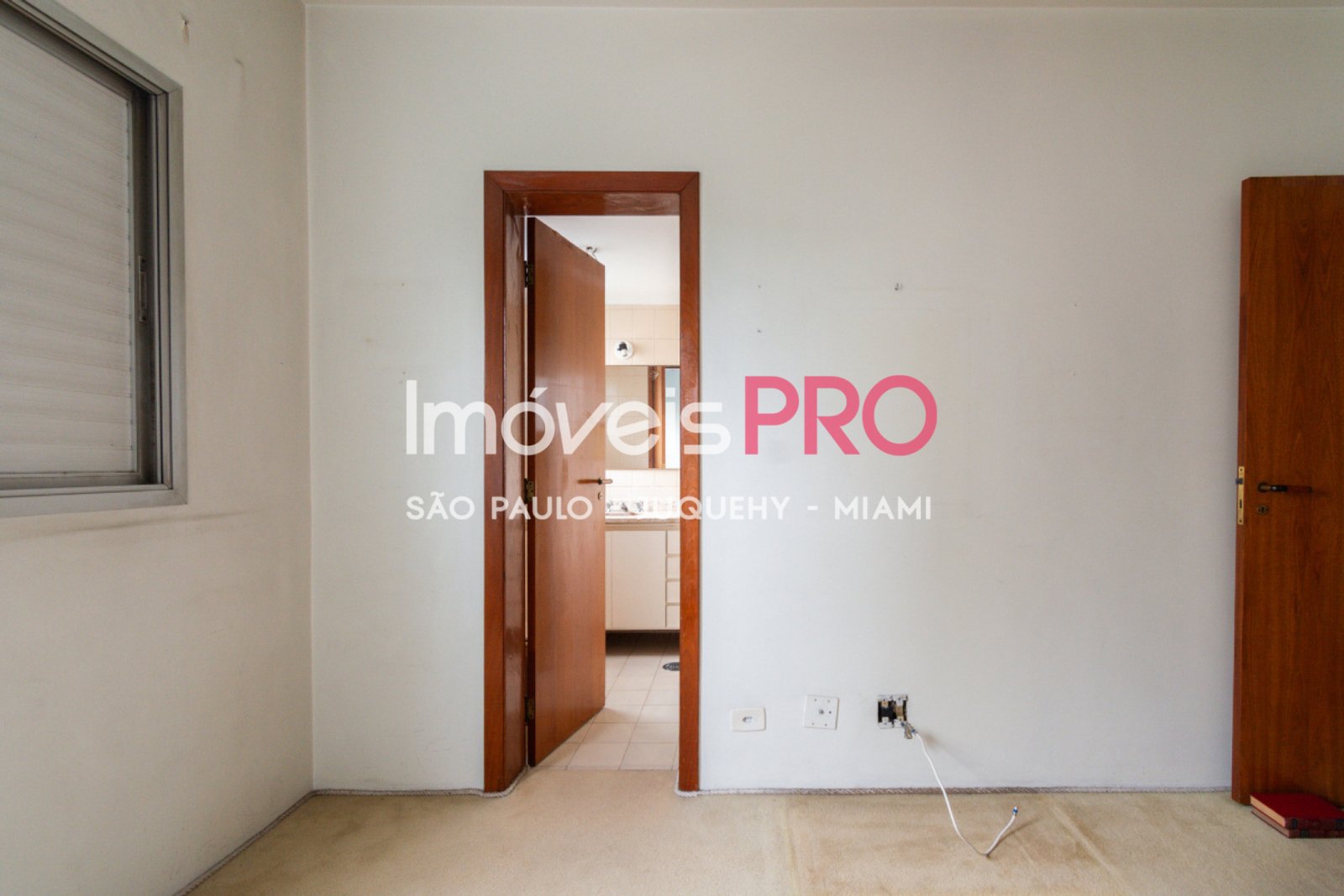 Foto :: IP33865
