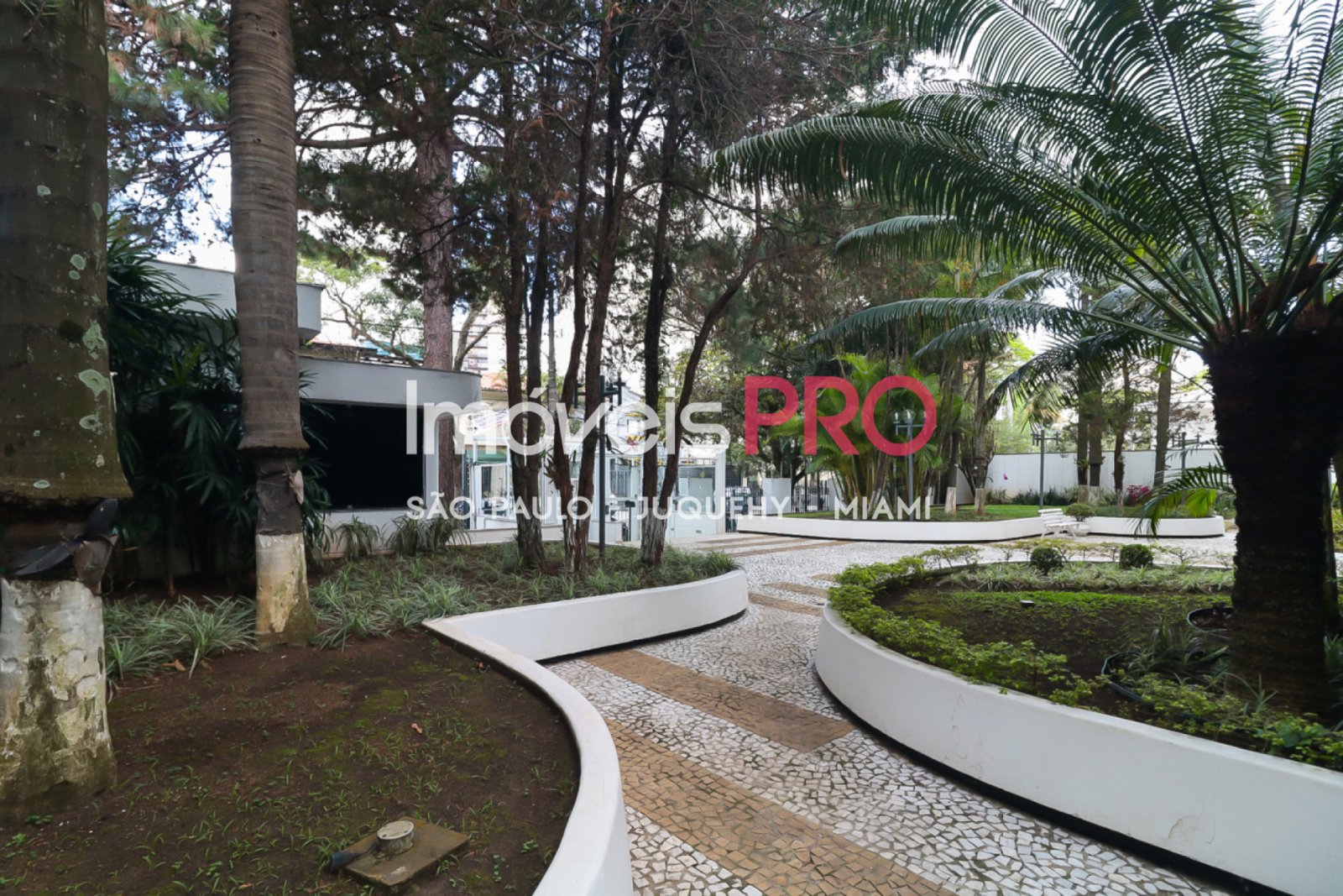 Foto :: IP33865