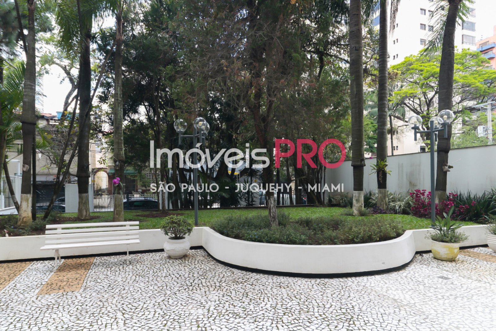 Foto :: IP33865