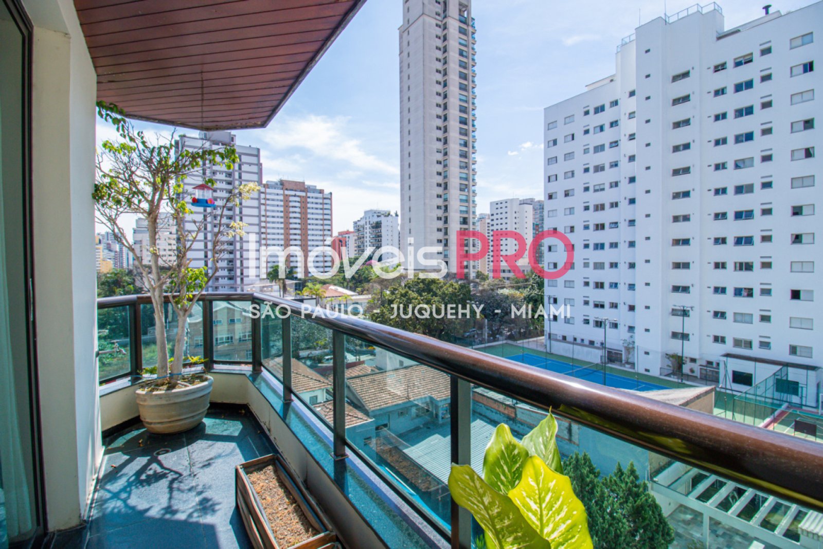 Foto :: IP34180