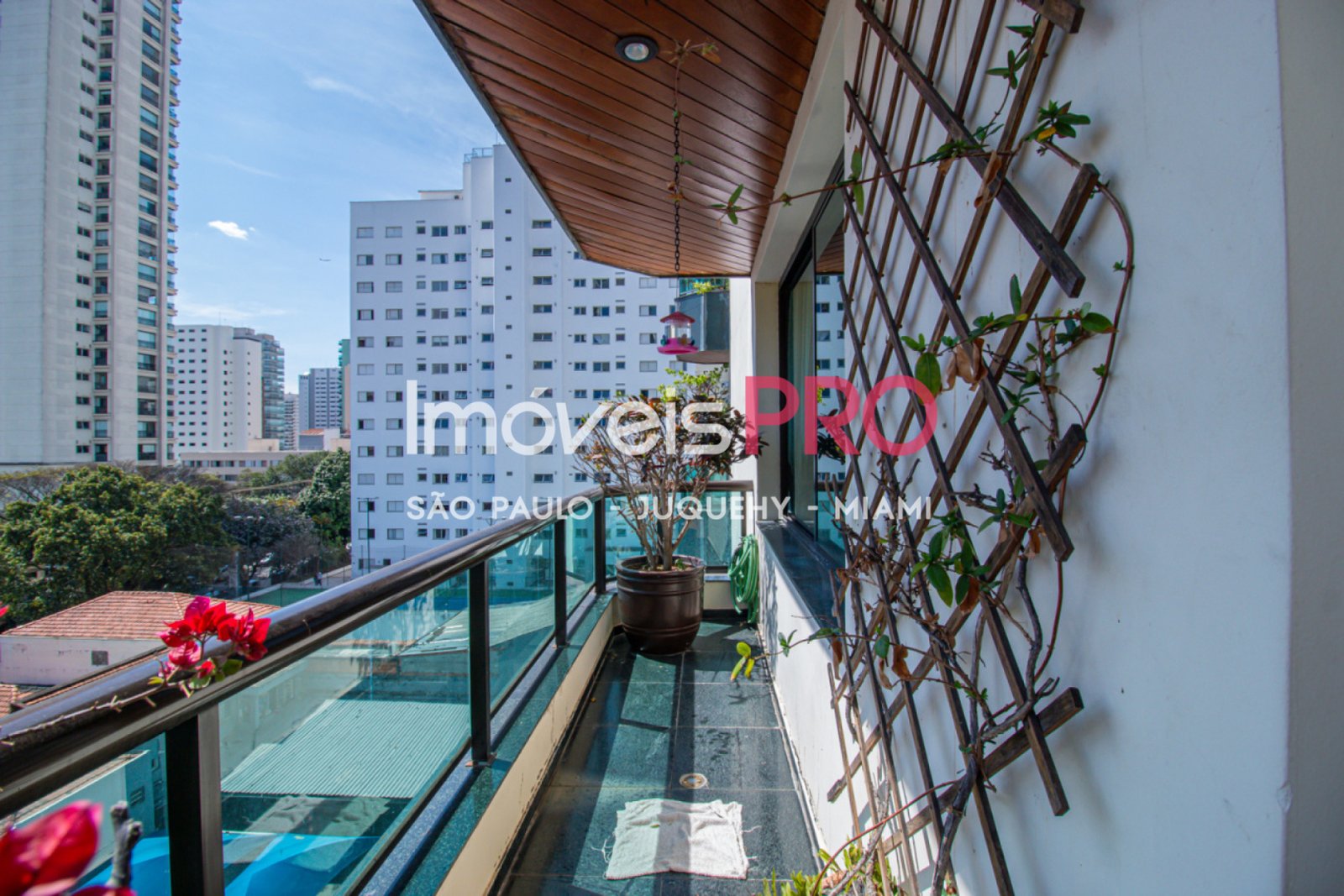 Foto :: IP34180