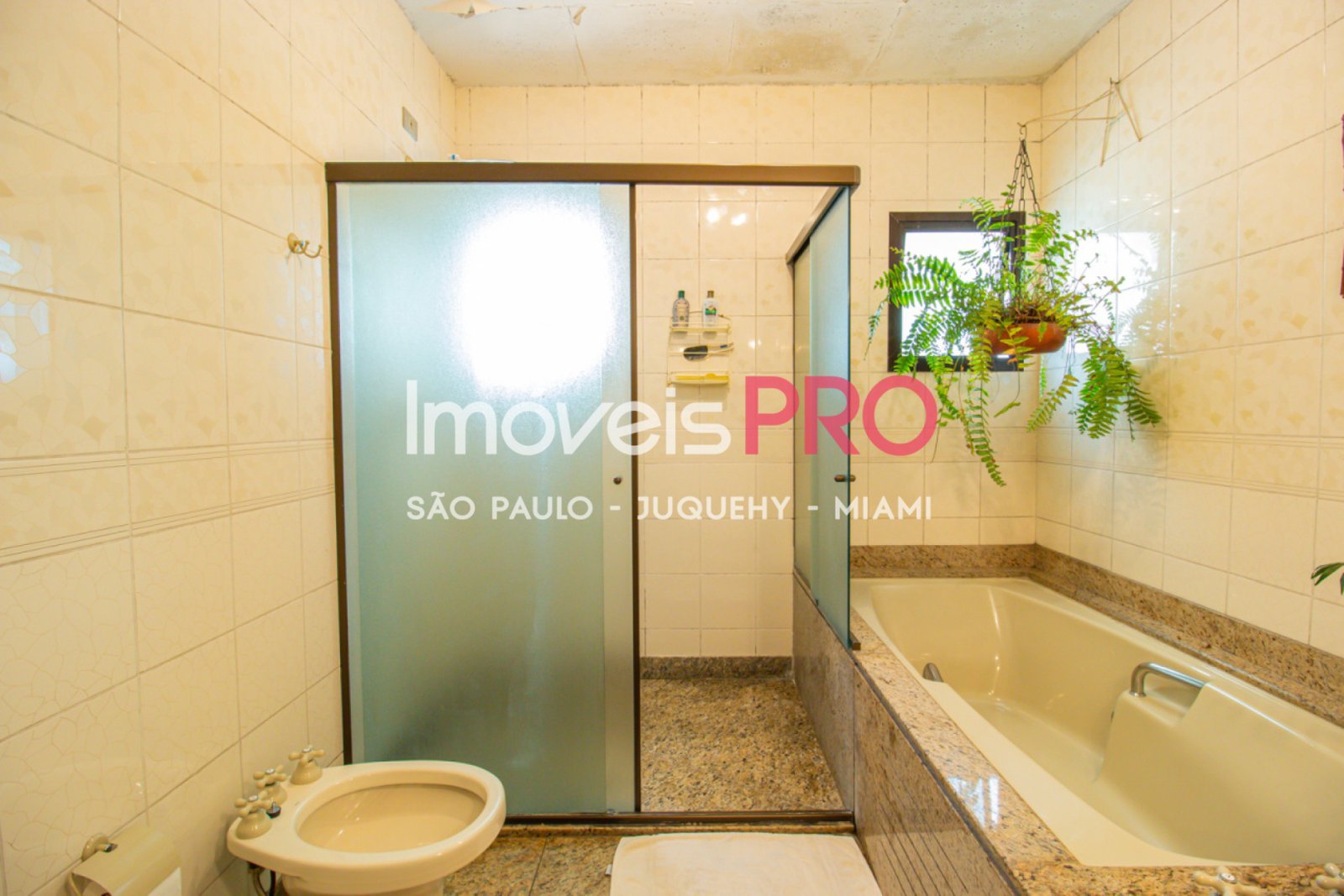 Foto :: IP34180