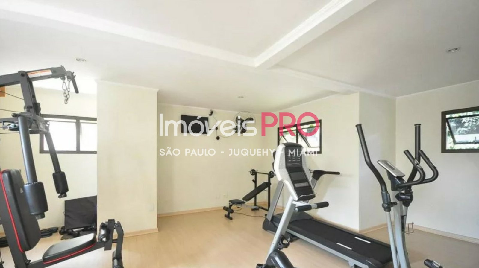 Foto :: IP34704