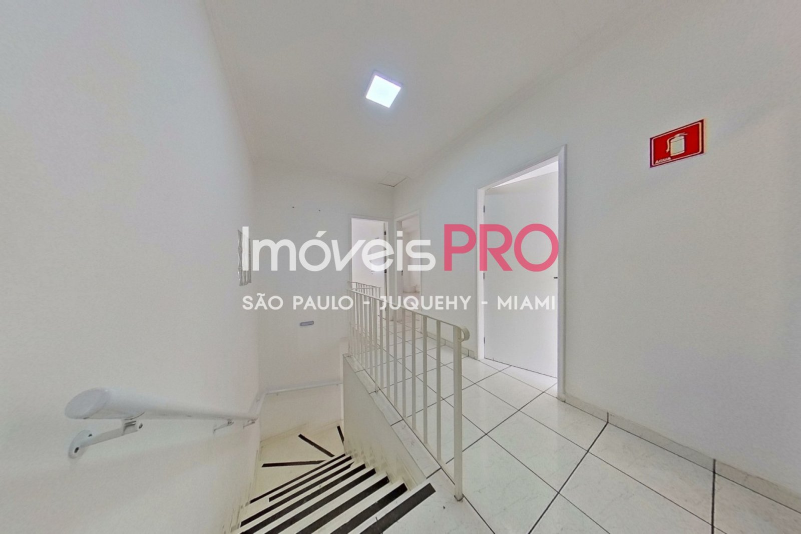 Foto :: IP34750
