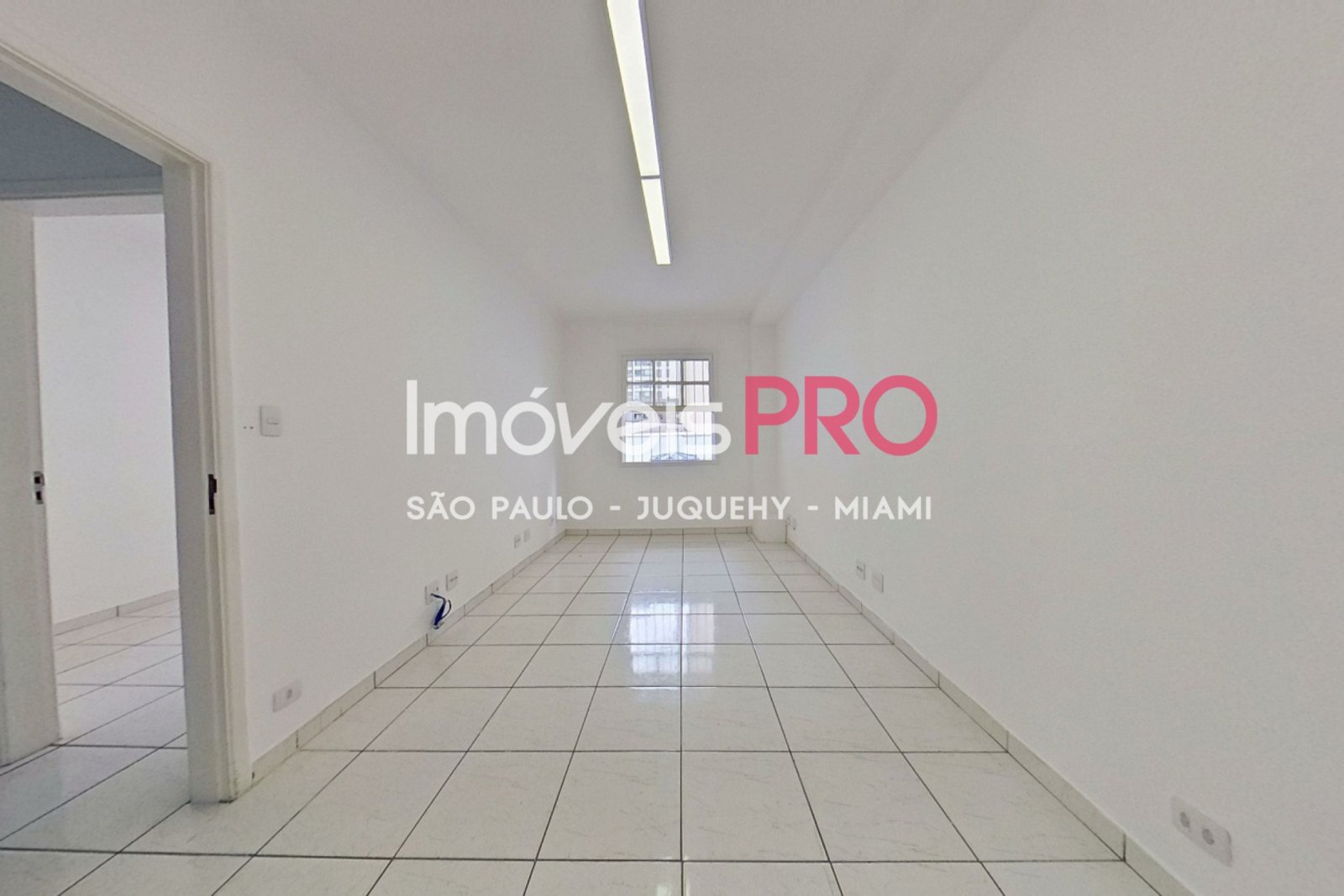 Foto :: IP34750