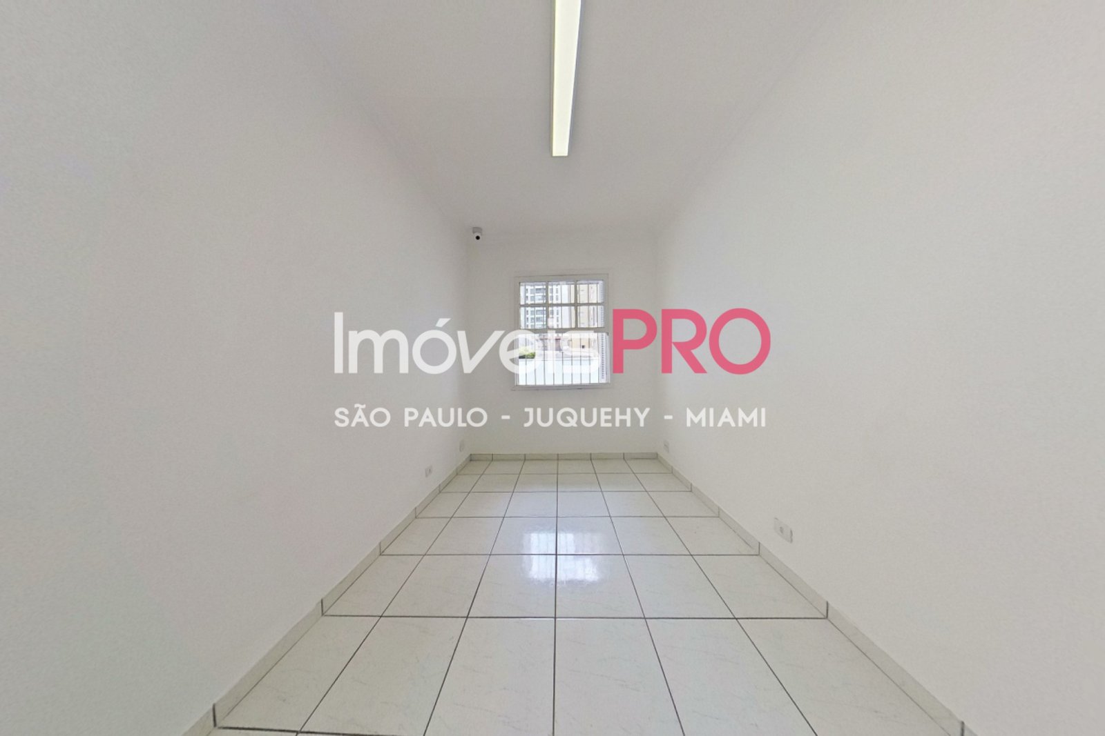 Foto :: IP34750