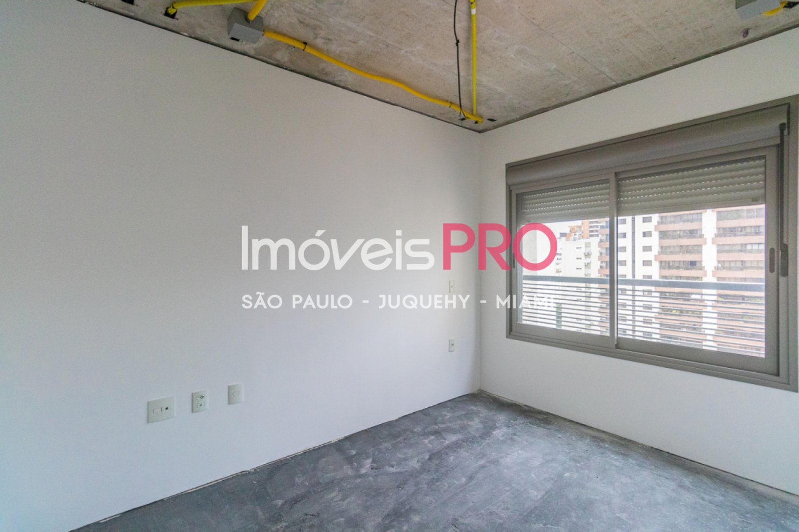 Foto :: IP34842