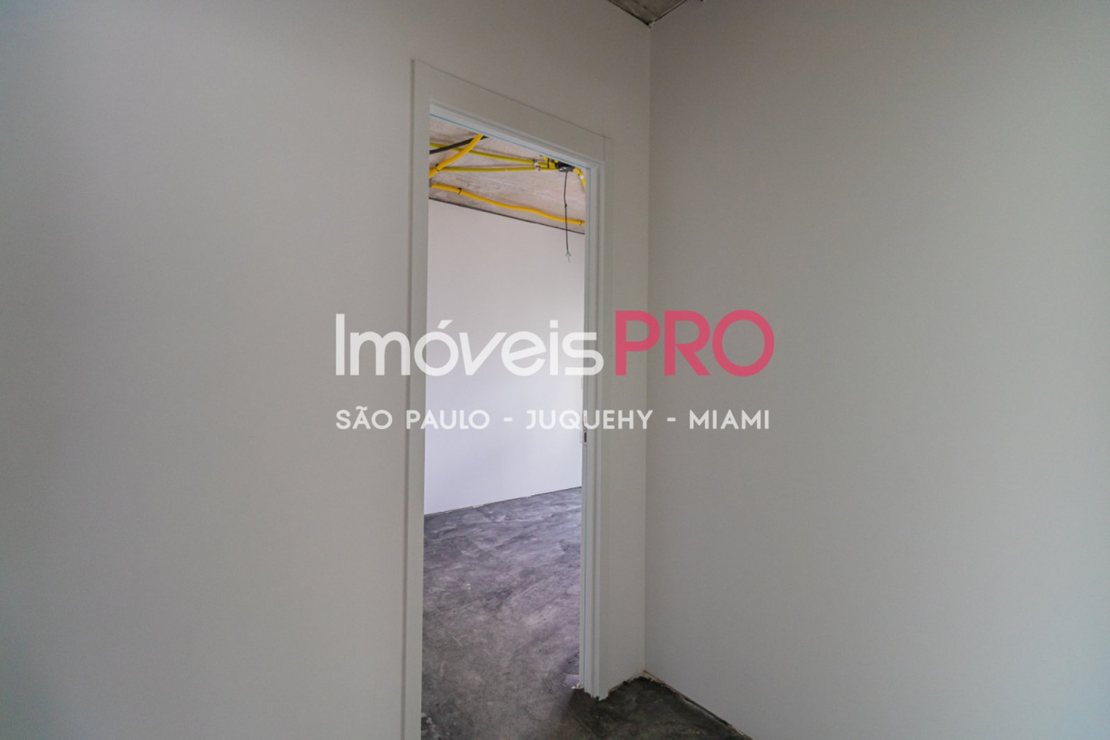 Foto :: IP34842