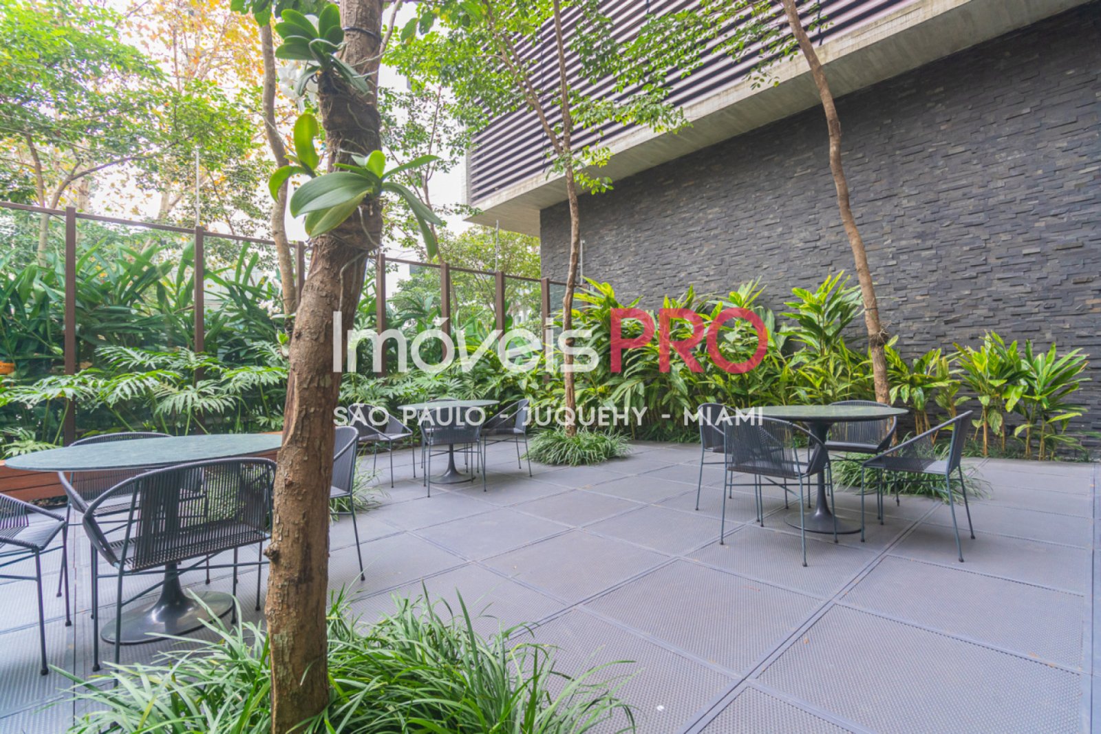 Foto :: IP35053