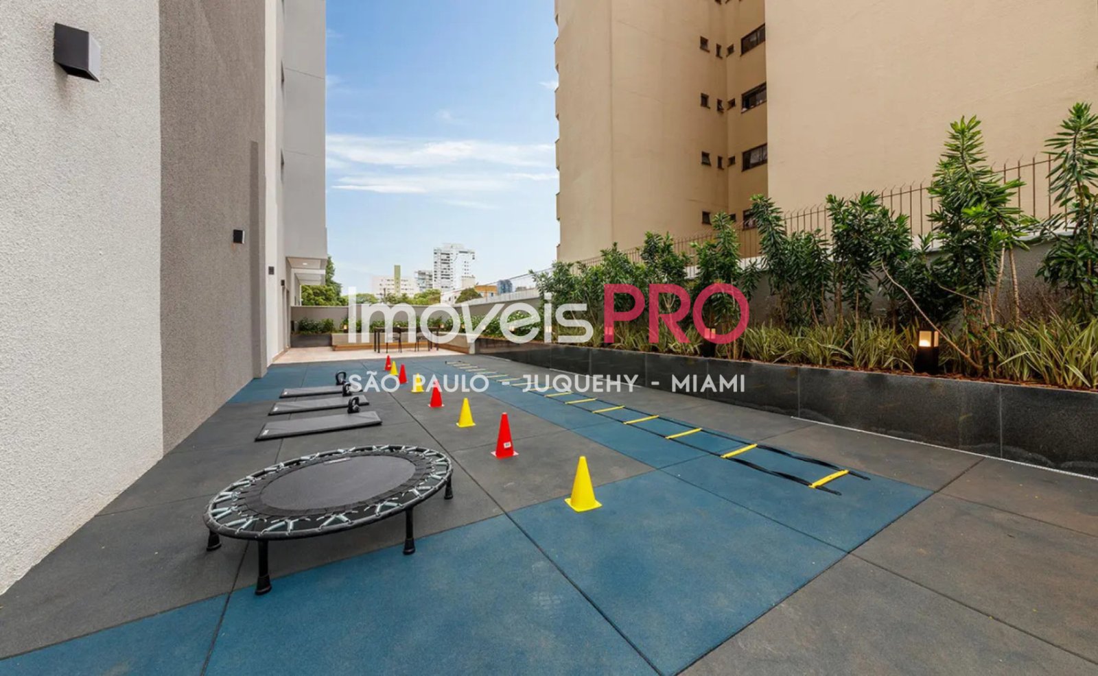 Foto :: IP35157