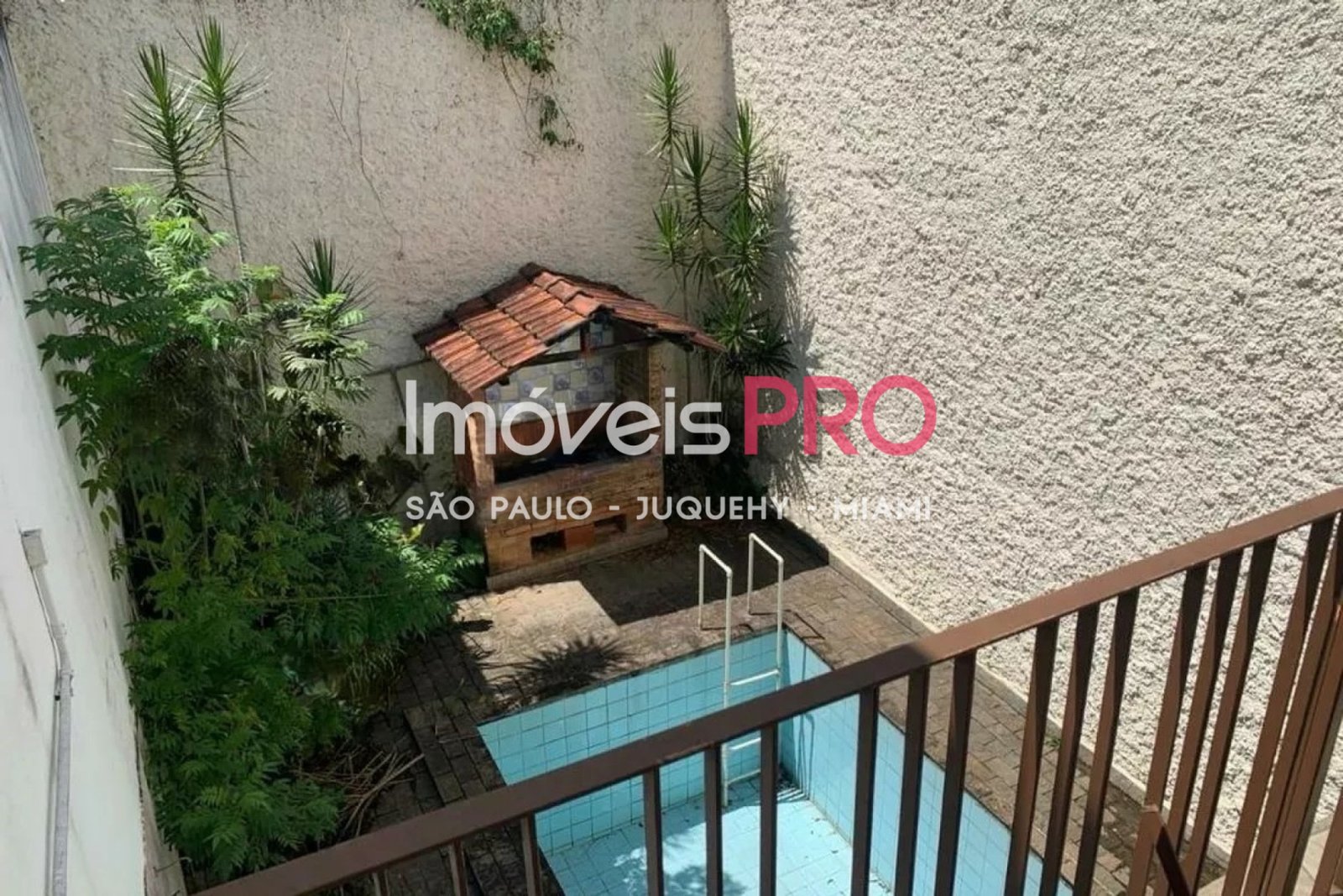 Foto :: IP35197