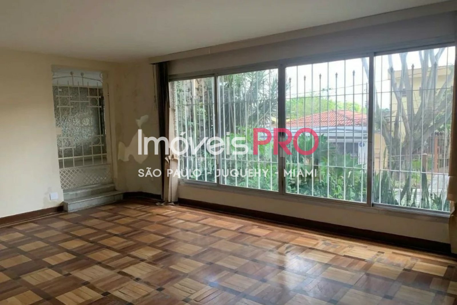 Foto :: IP35197