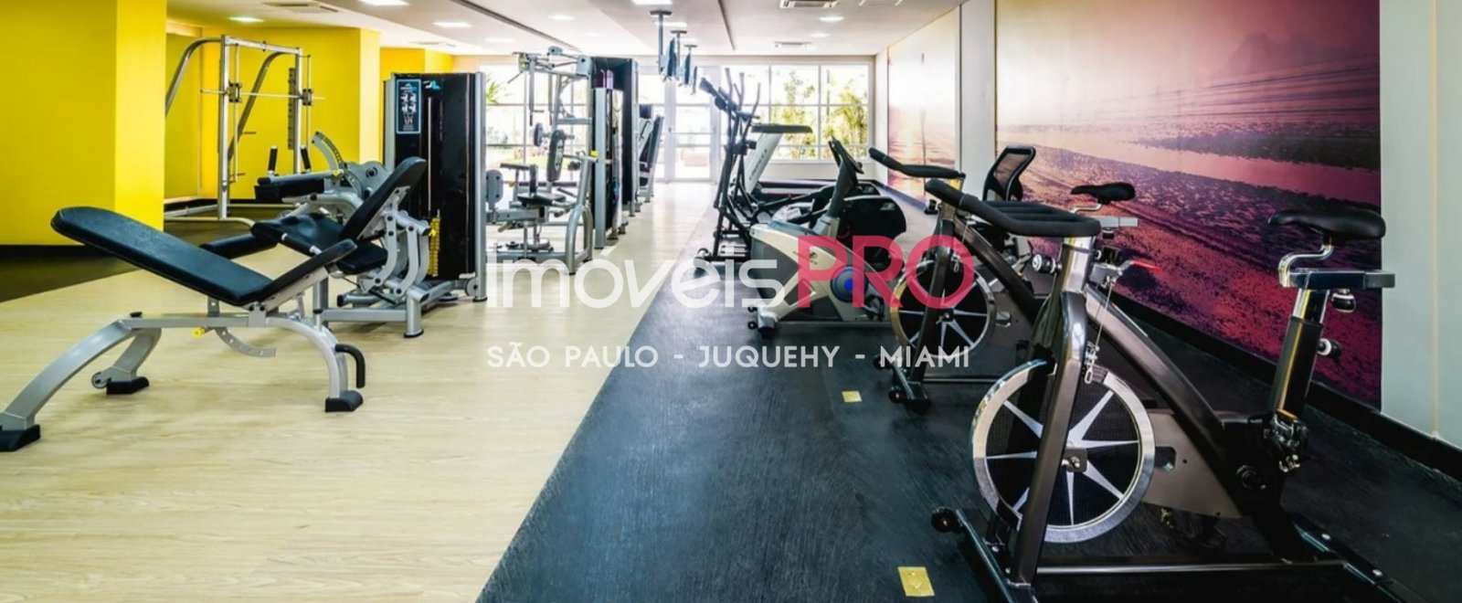 Foto :: https://assets.imoveispro.com.br/thumb/IP35689/apartamento-venda-vila-mariana_IP35689_23_1920x1080.jpg?