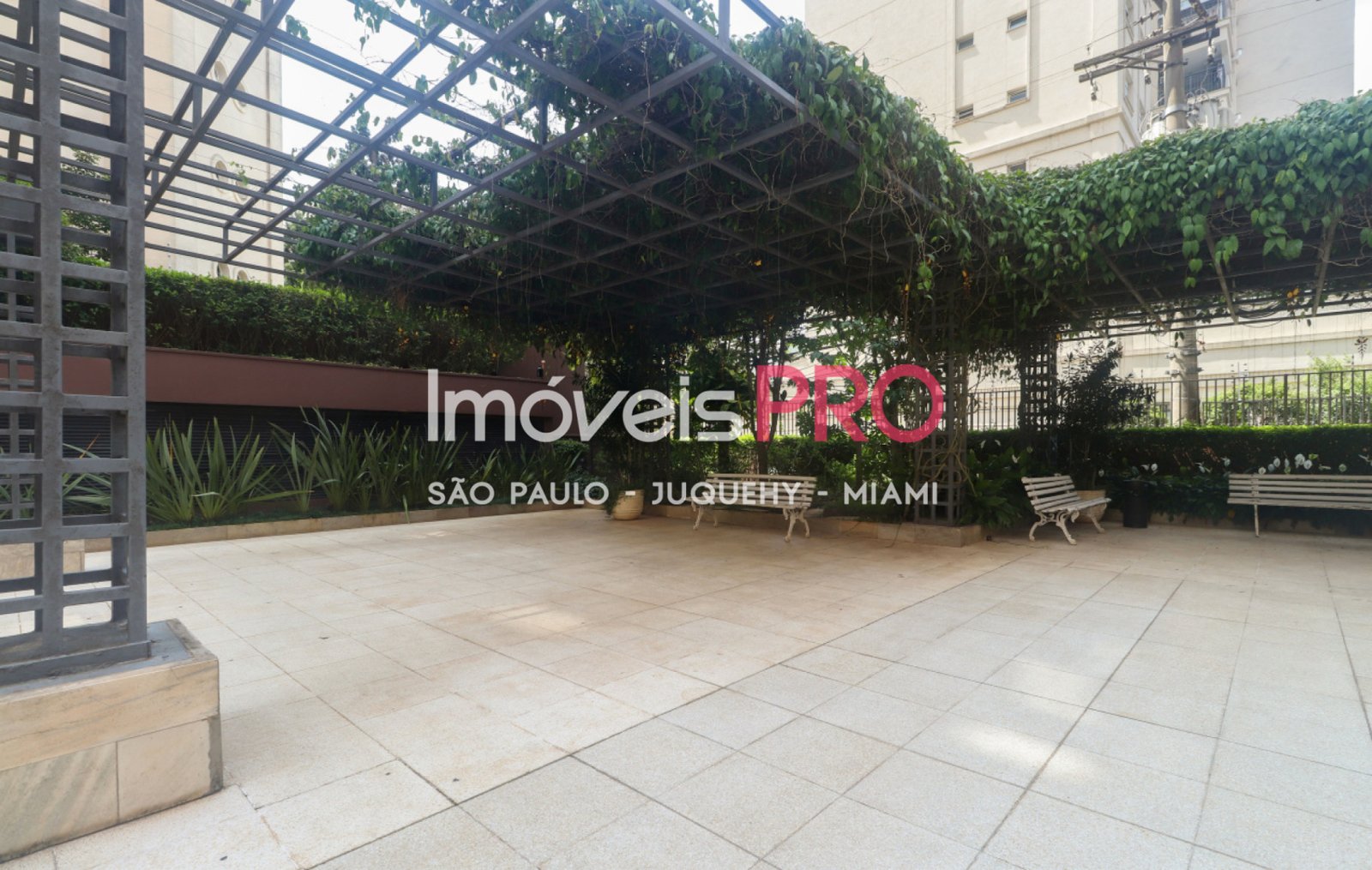 Foto :: IP35879