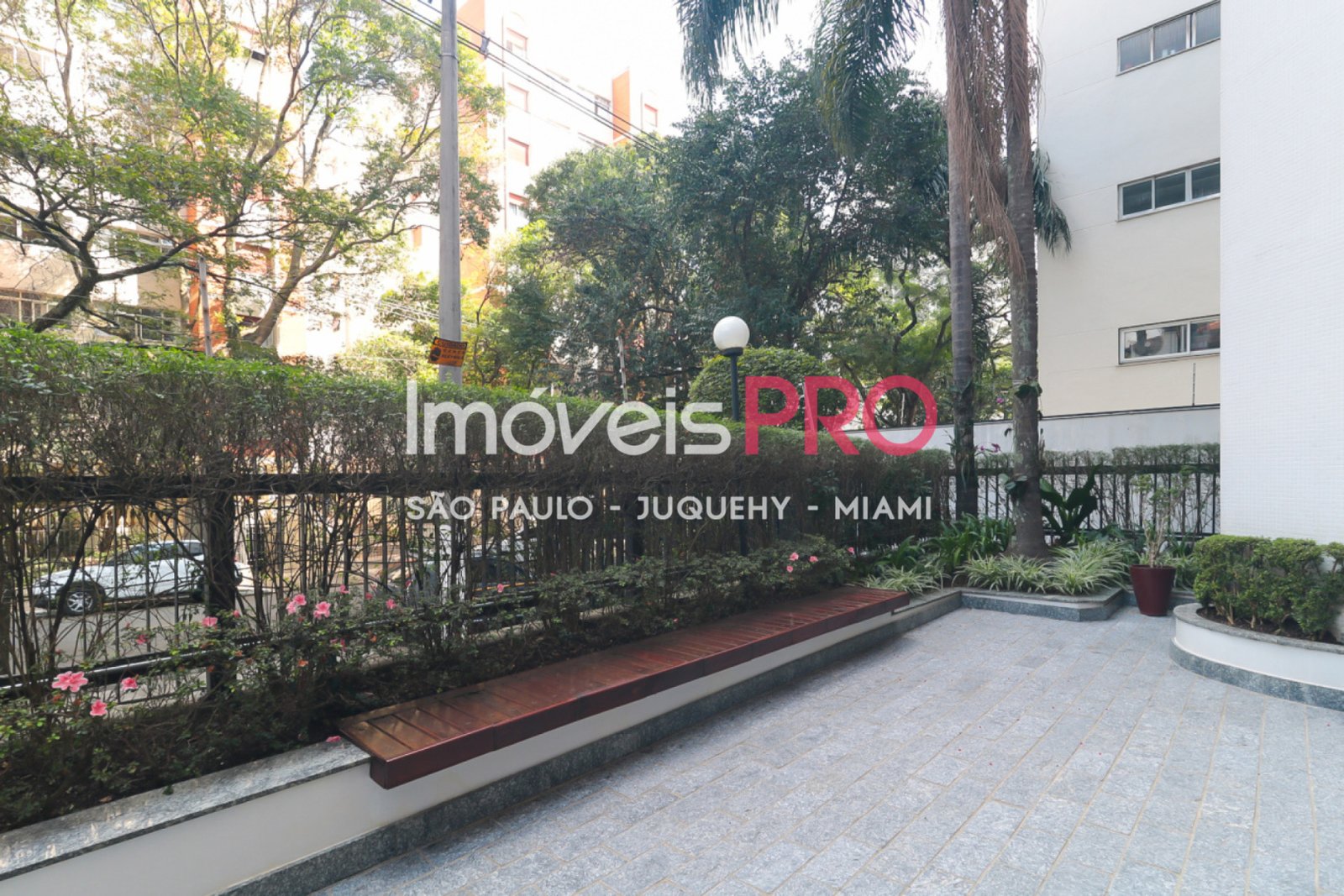 Foto :: IP36146
