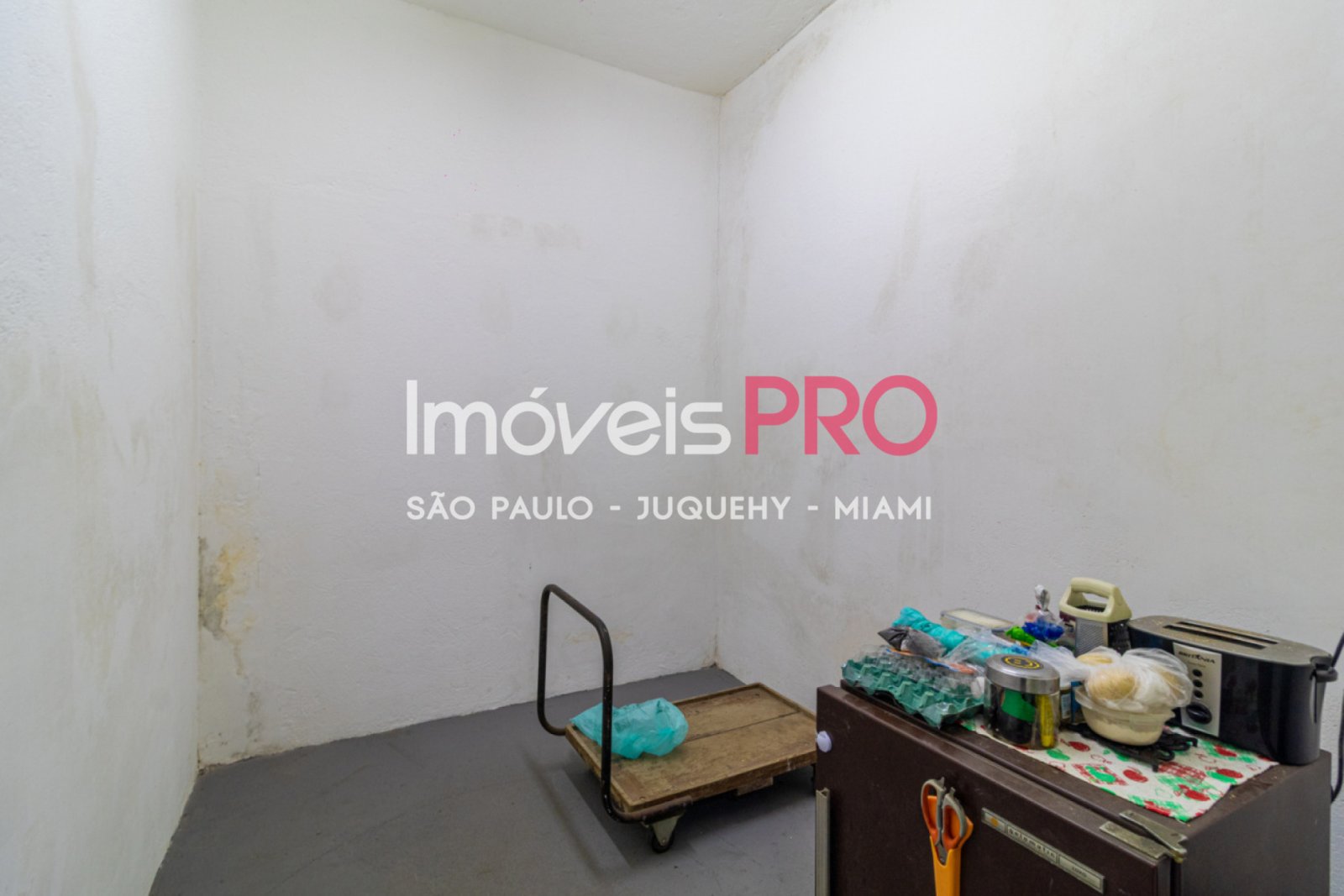 Foto :: IP36413