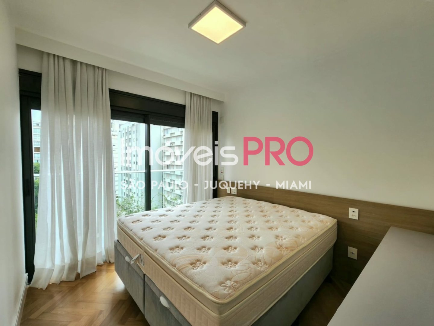 Foto :: IP36905