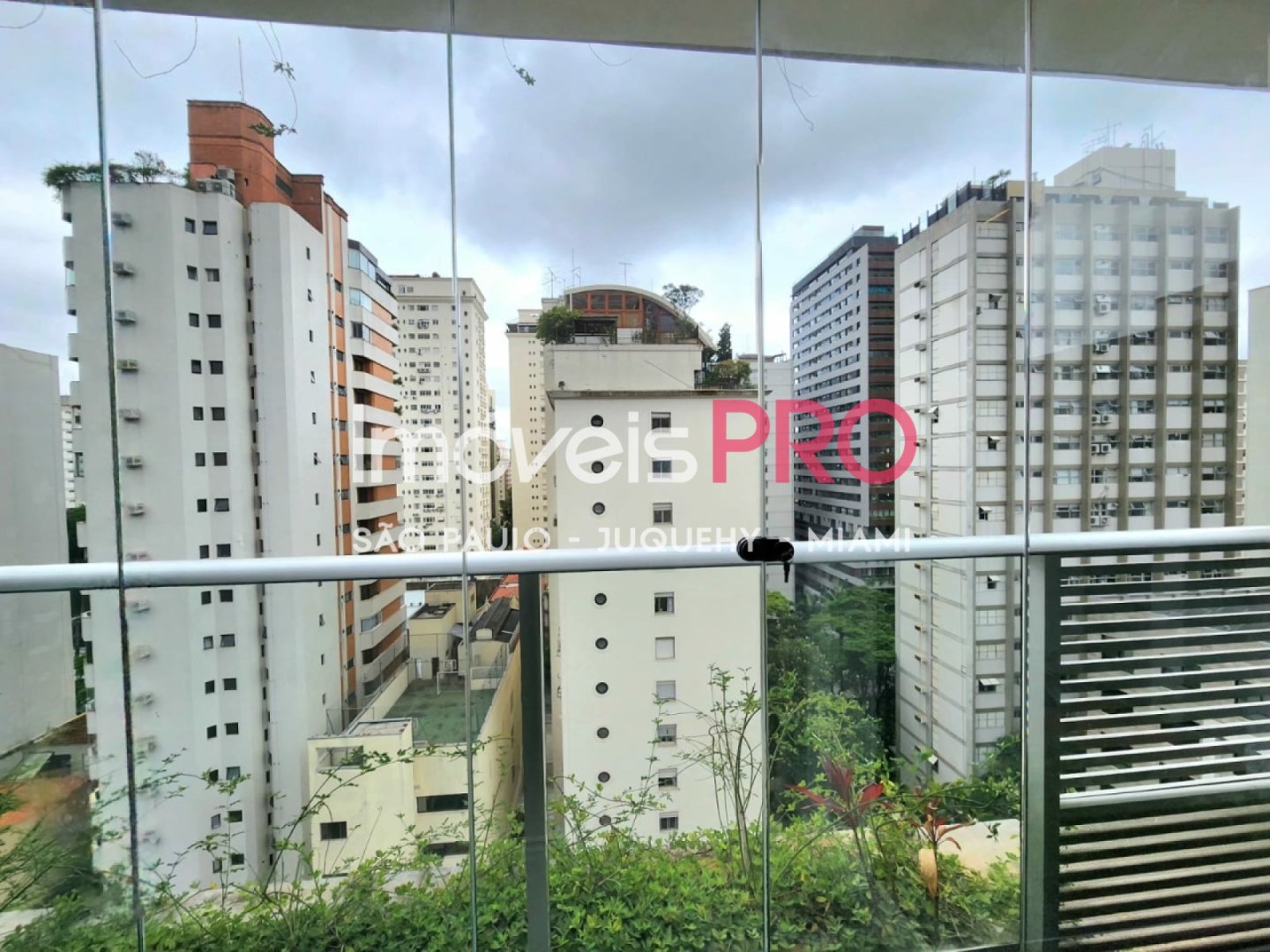 Foto :: IP36905
