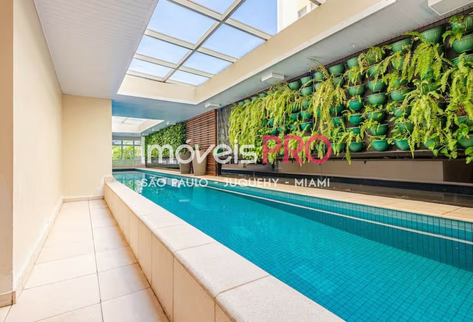 Foto :: https://assets.imoveispro.com.br/thumb/IP36909/apartamento-venda-aclimacao_IP36909_11_1920x1080.jpg?