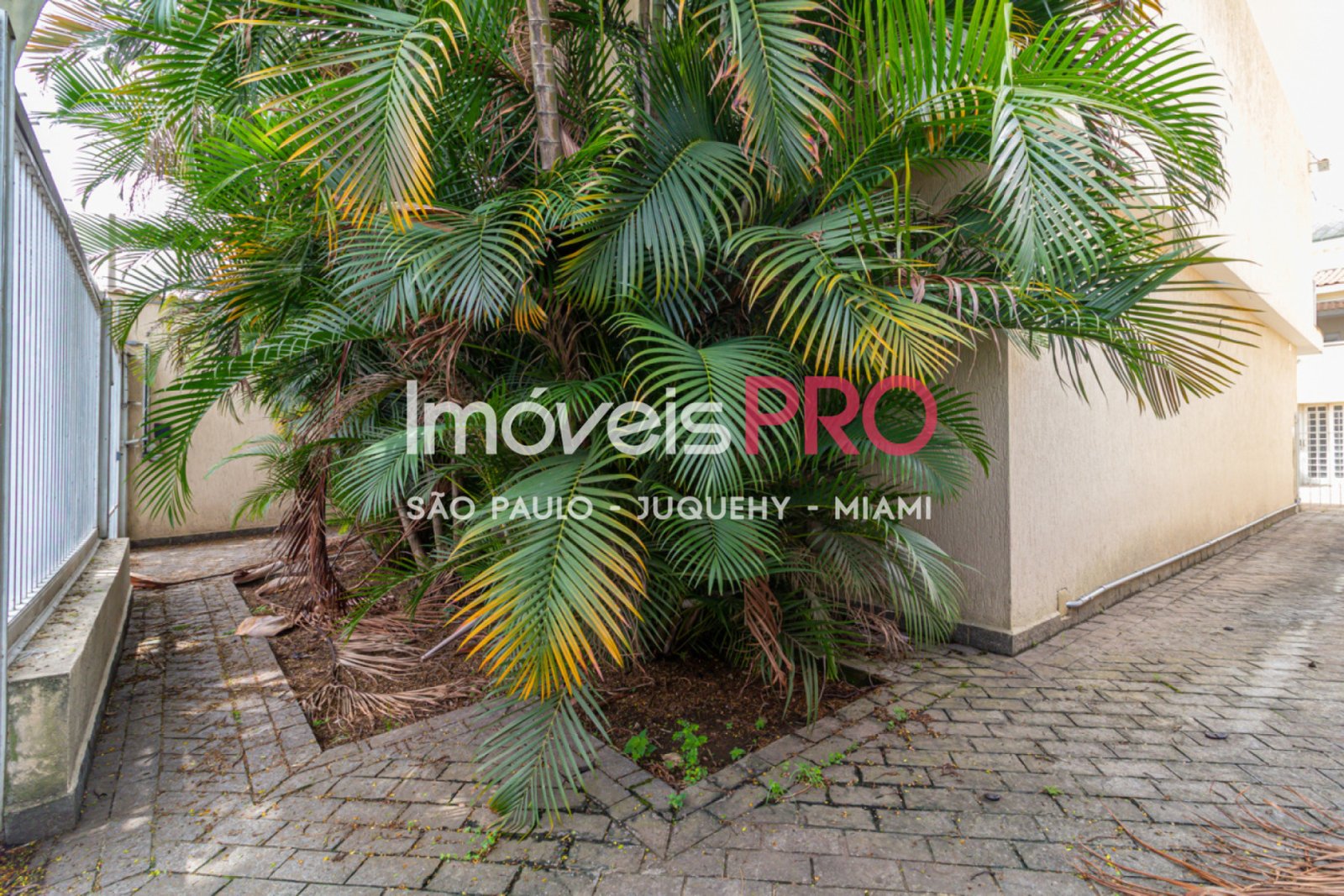 Foto :: https://assets.imoveispro.com.br/thumb/IP37003/casa-venda-jardim-luzitania_IP37003_59_1920x1080.jpg?