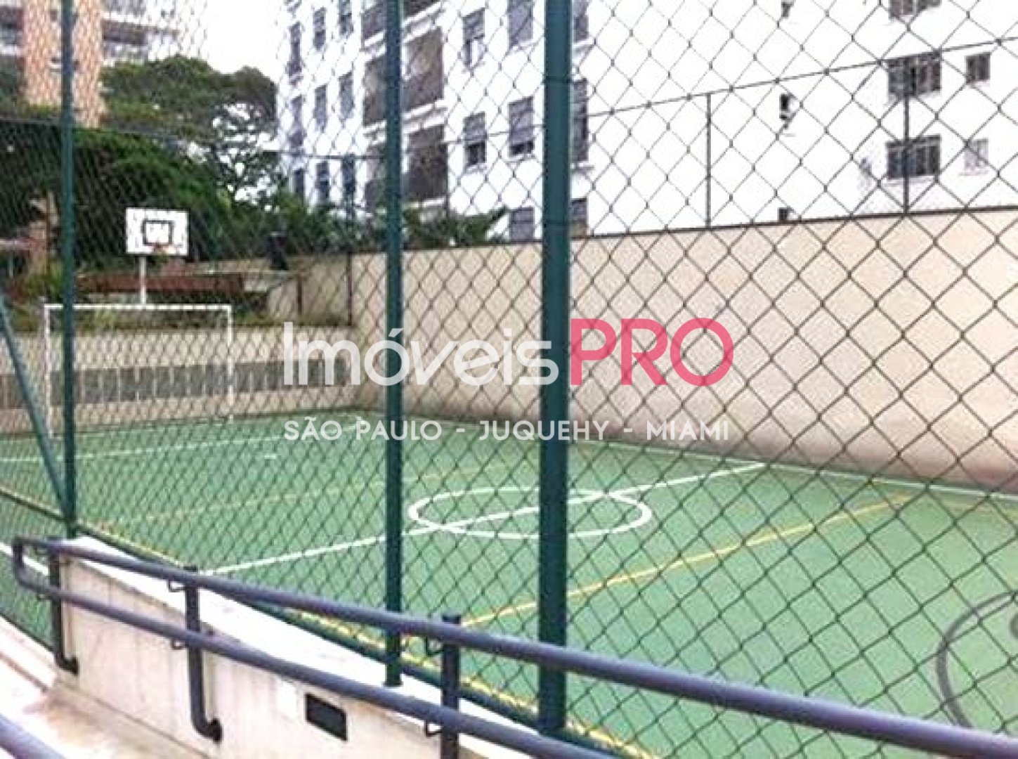 Foto :: IP37129
