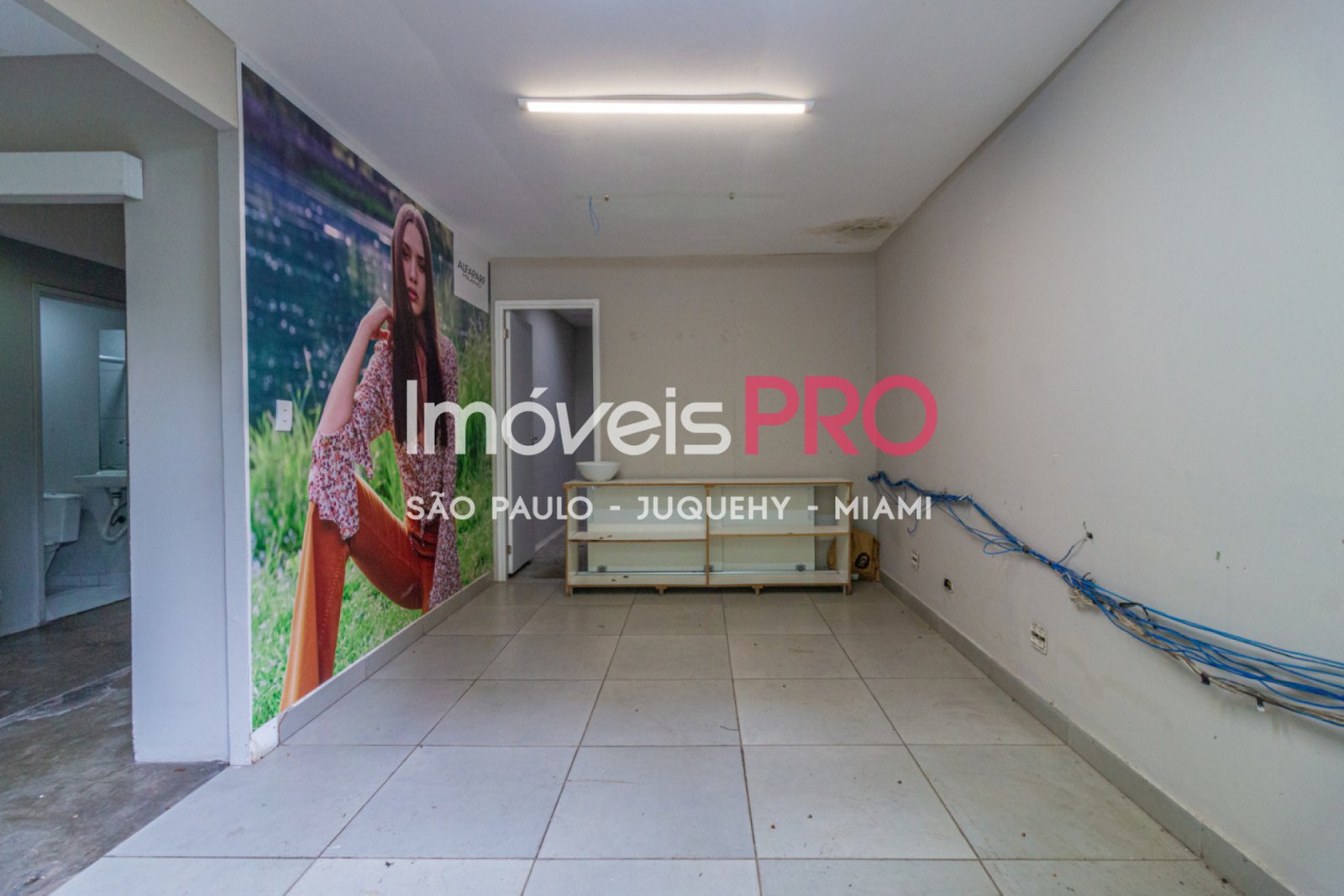 Foto :: https://assets.imoveispro.com.br/thumb/IP37158/comercial-aluguel-moema_IP37158_23_1920x1080.jpg?