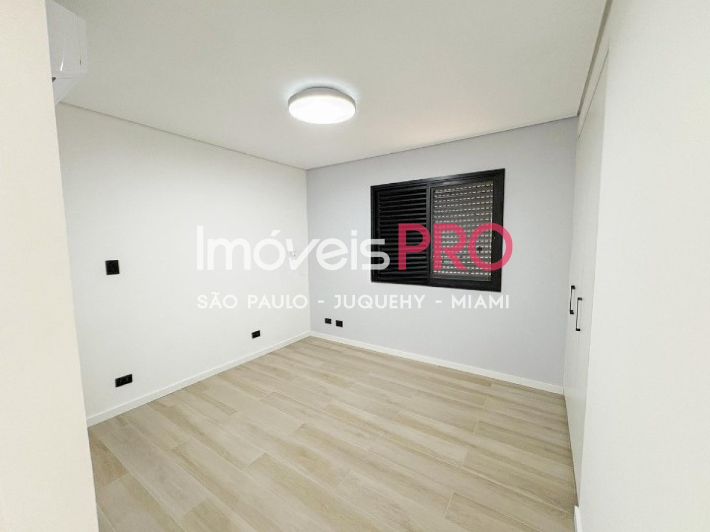 Foto :: IP37203