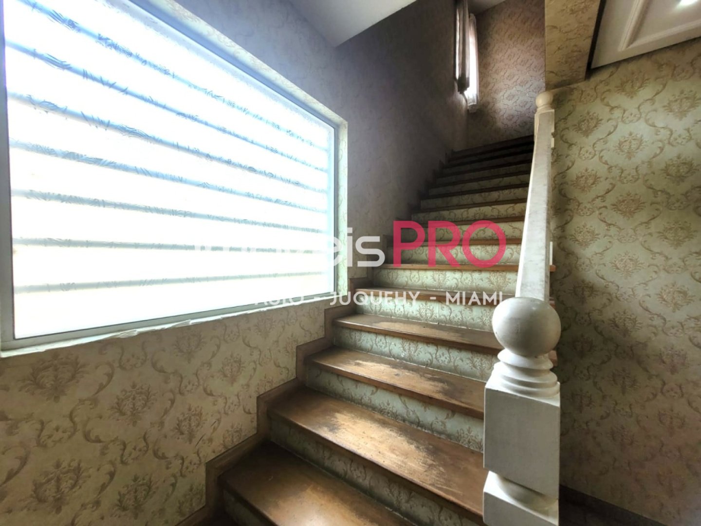 Foto :: https://assets.imoveispro.com.br/thumb/IP37452/sobrado-aluguel-vila-sonia_IP37452_47_1920x1080.jpg?