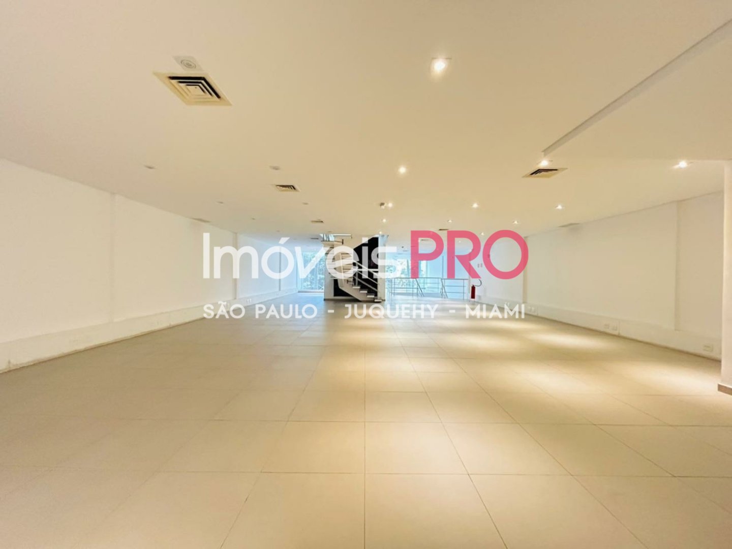 Foto :: IP37477