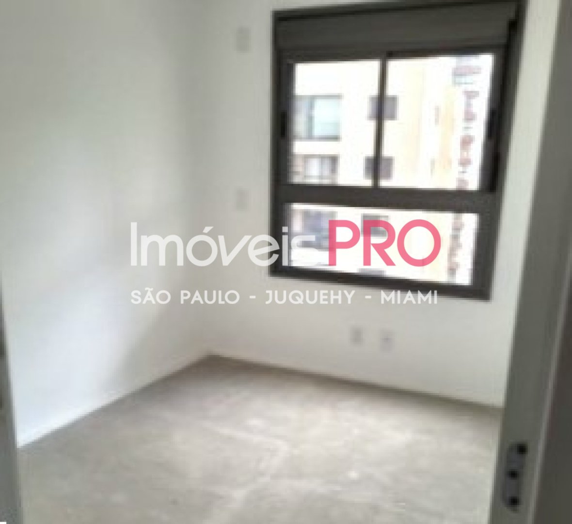 Foto :: IP37486