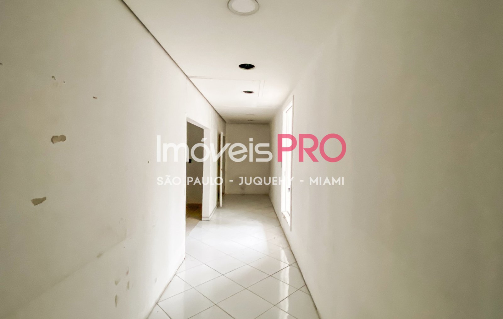 Foto :: IP37584
