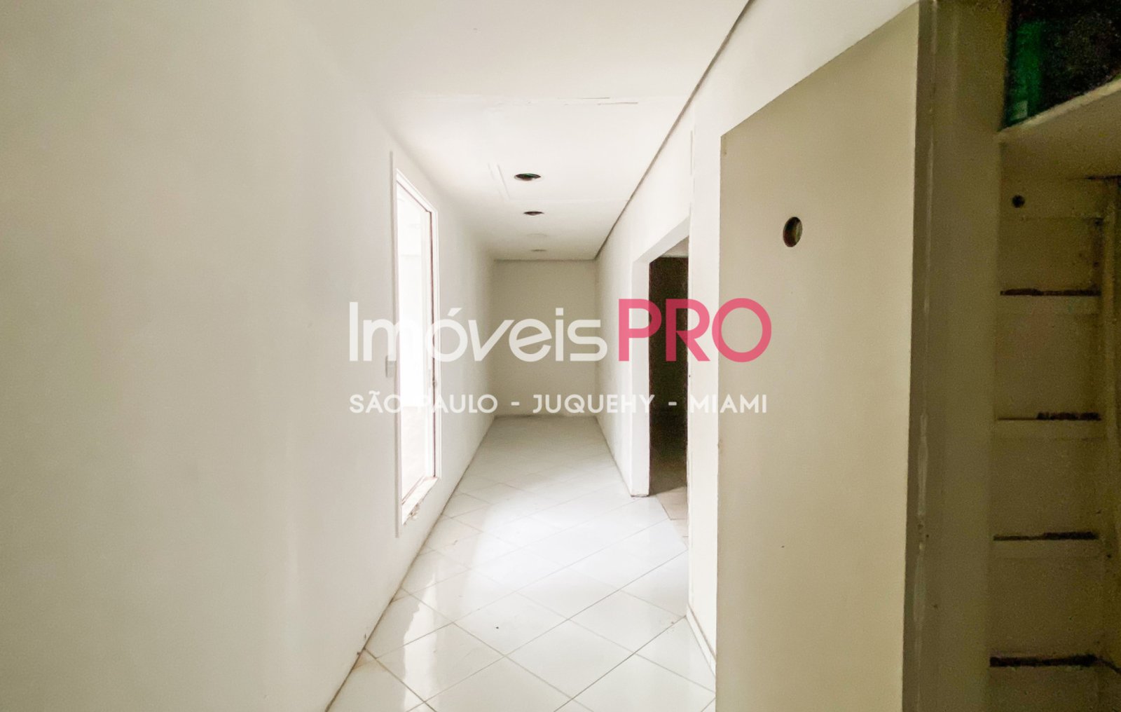 Foto :: IP37584