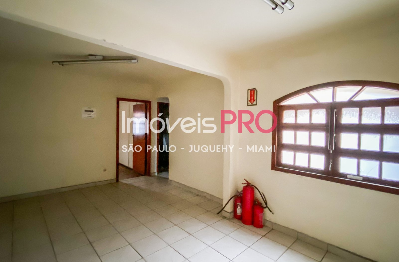 Foto :: IP37584