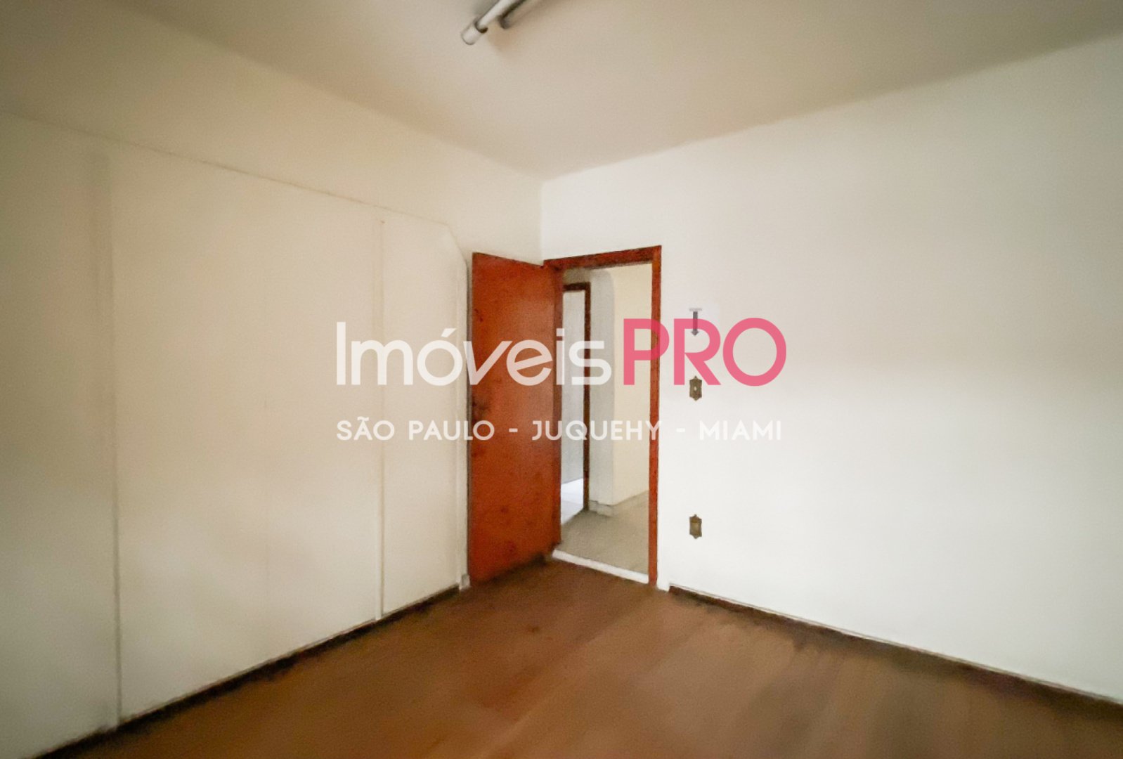 Foto :: IP37584
