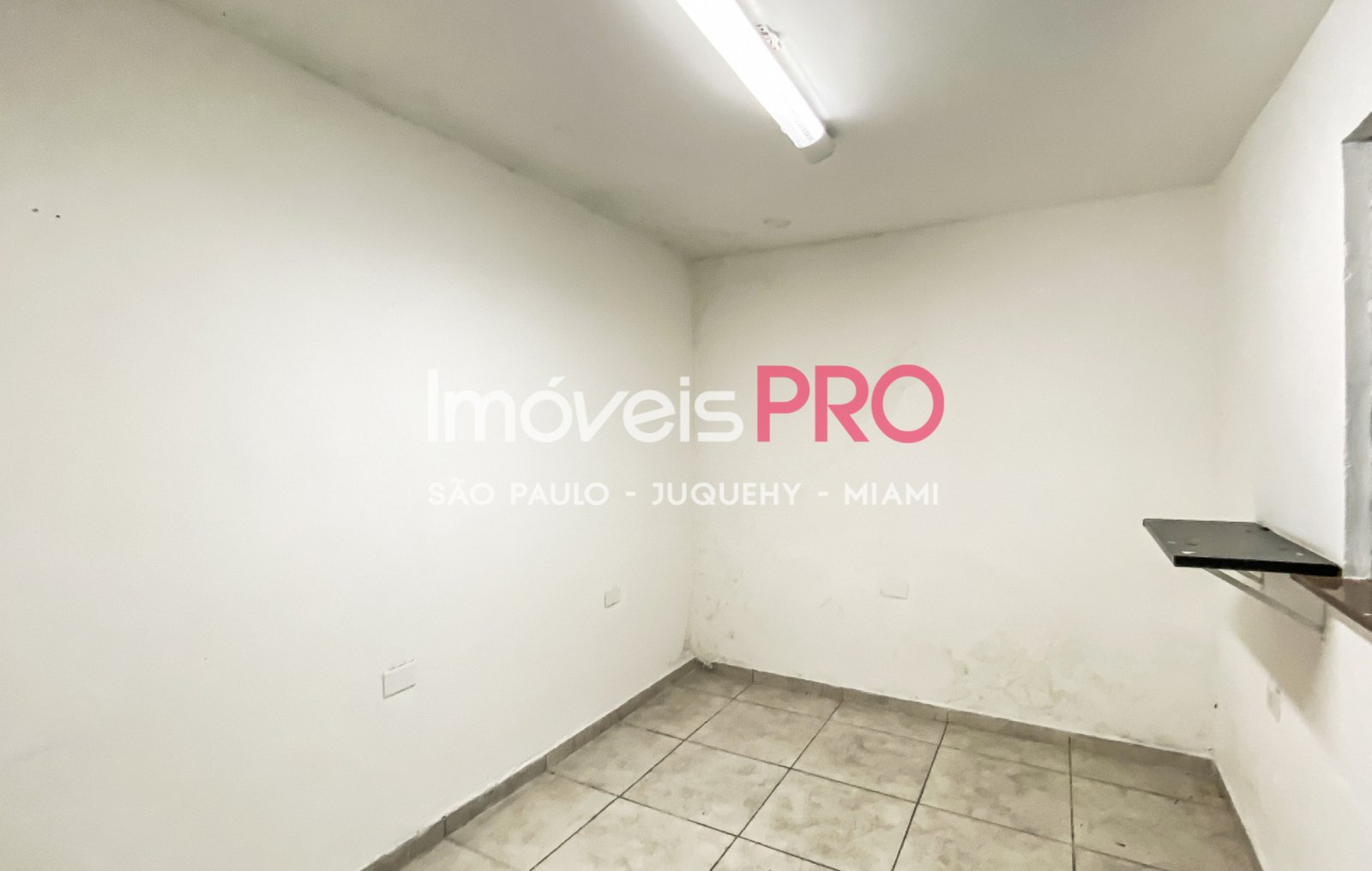 Foto :: IP37584