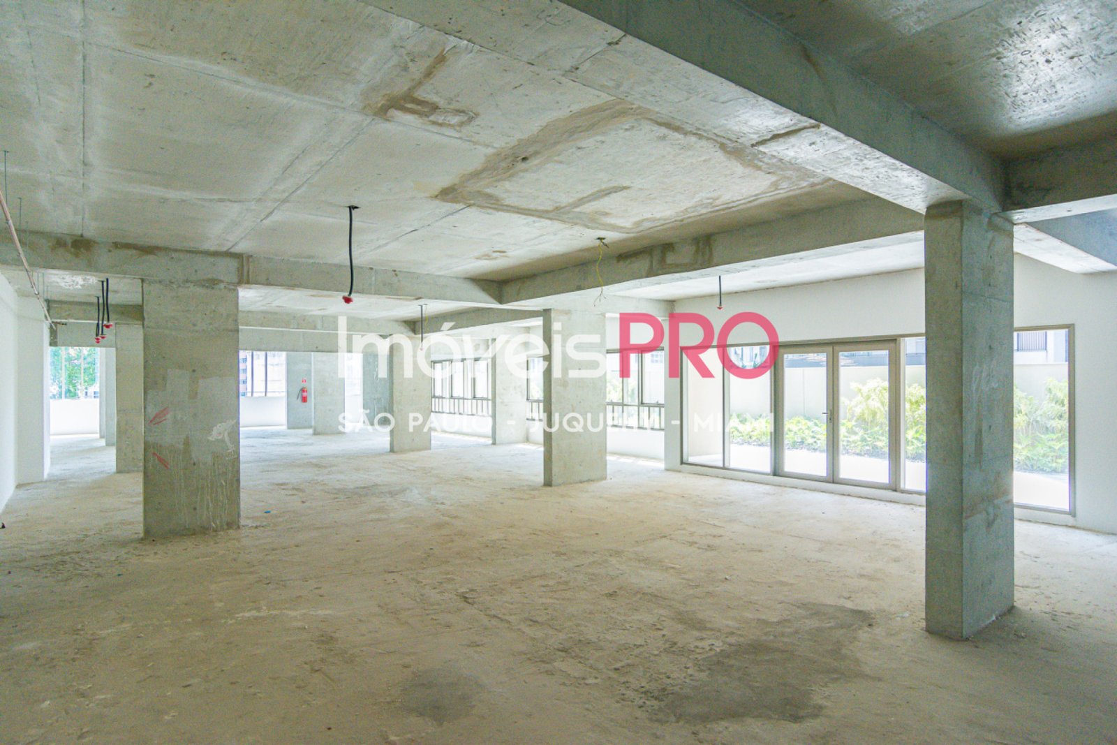 Foto :: IP37618